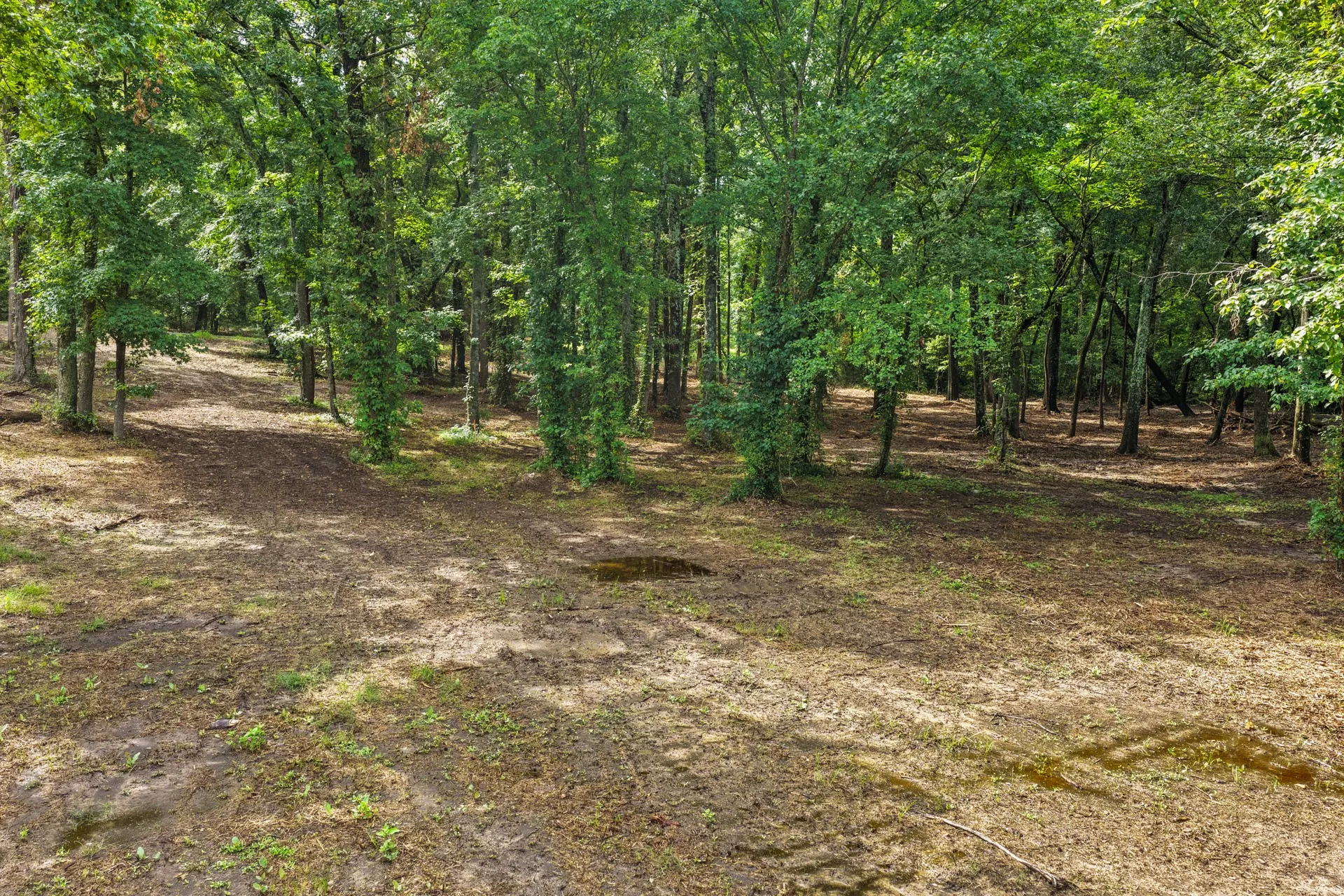Unimproved Land For Sale in Franklin (TX) County , 133 Sandy Lake, Scroggins, Texas 75480, 0, 0, Garage spaces, 0 Sqft, built in 0, Price $399,000, mls#21340663, Real Estate Agent in Scroggins, Homes For Sale in Franklin (TX) county, Homes For Sale in Scroggins, Realtor in Scroggins Texas, Real Estate Brokerage Independent Realty Texas, Luminita Cordes Realtor