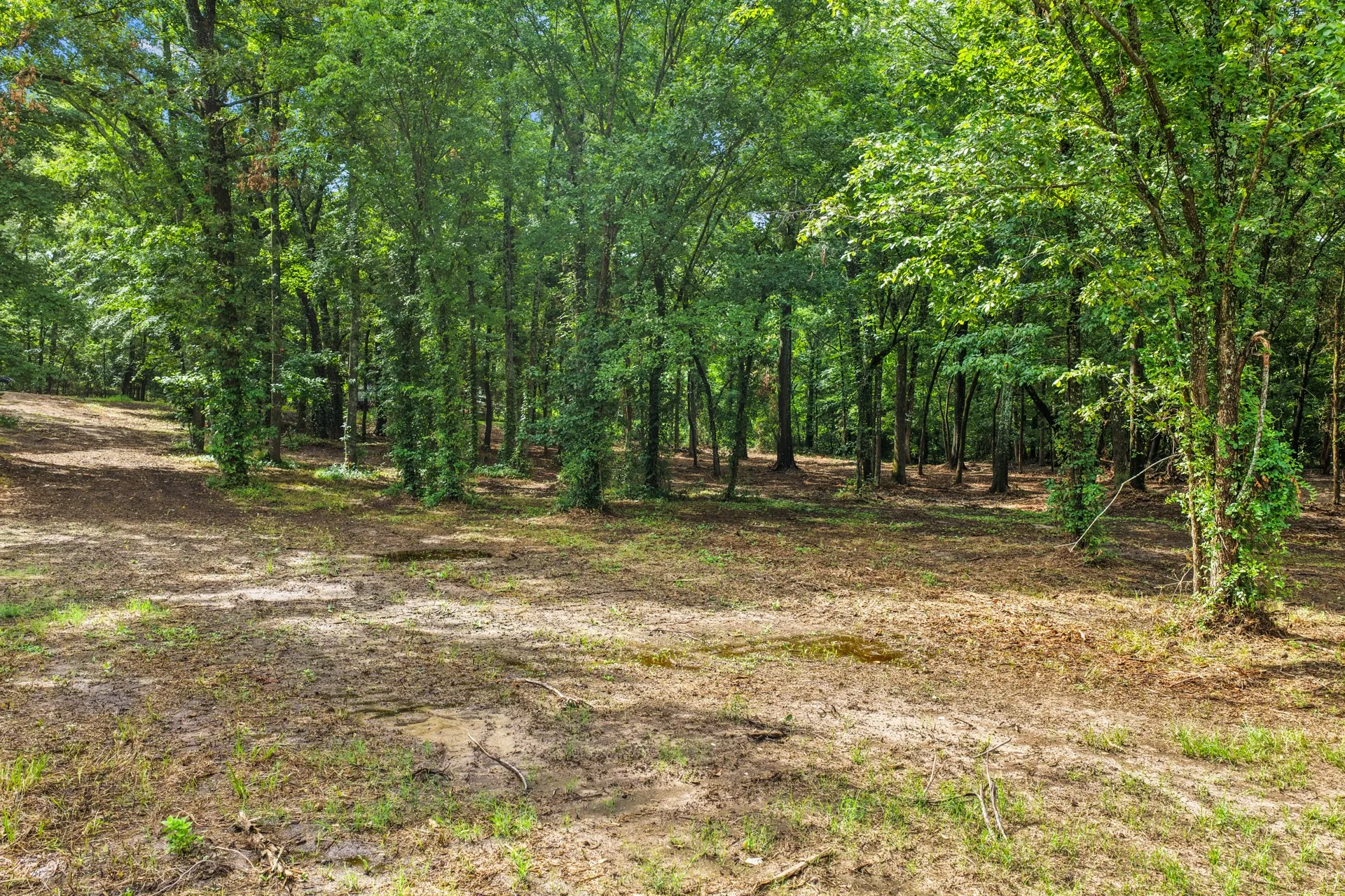 Unimproved Land For Sale in Franklin (TX) County , 133 Sandy Lake, Scroggins, Texas 75480, 0, 0, Garage spaces, 0 Sqft, built in 0, Price $399,000, mls#21340663, Real Estate Agent in Scroggins, Homes For Sale in Franklin (TX) county, Homes For Sale in Scroggins, Realtor in Scroggins Texas, Real Estate Brokerage Independent Realty Texas, Luminita Cordes Realtor
