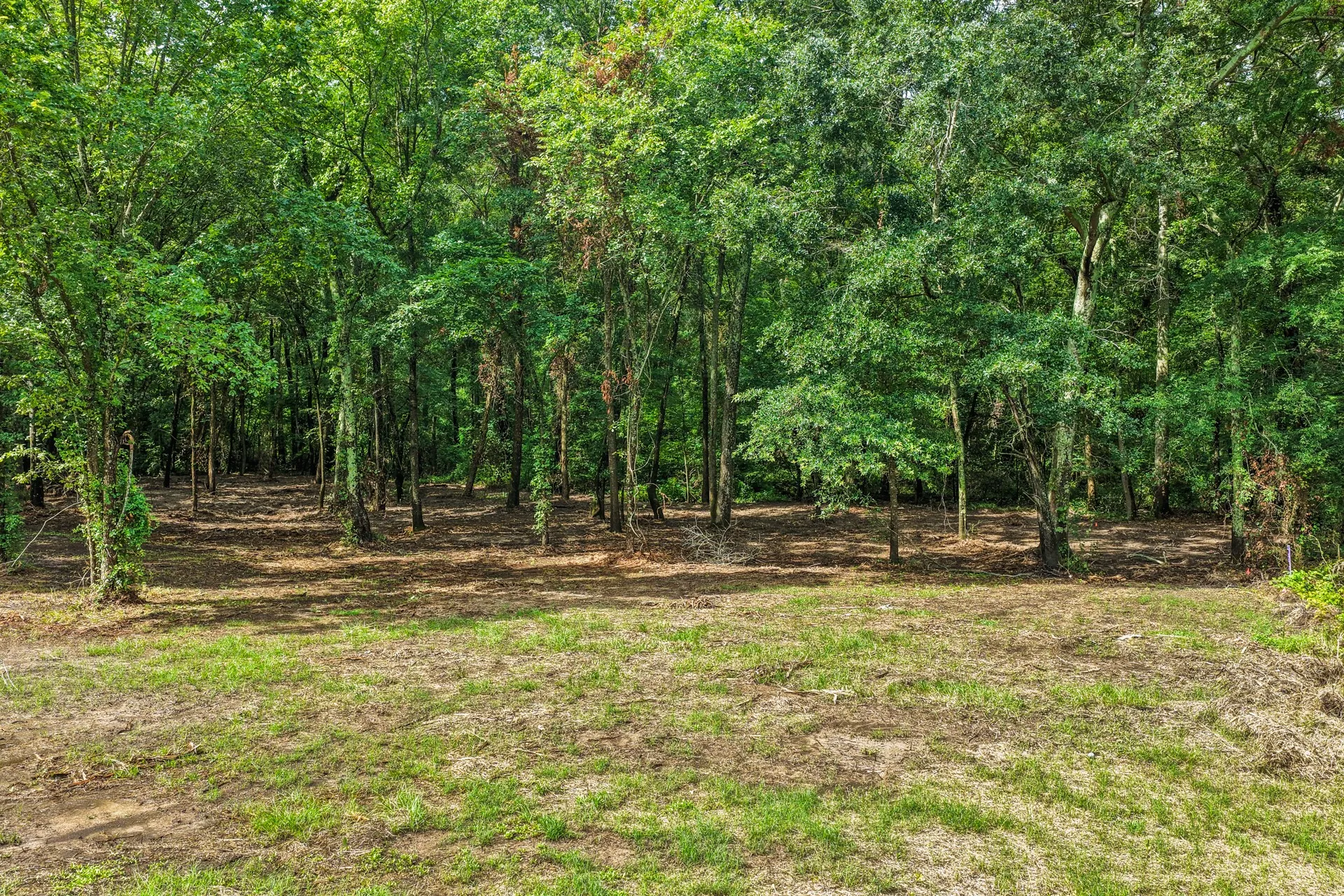 Unimproved Land For Sale in Franklin (TX) County , 133 Sandy Lake, Scroggins, Texas 75480, 0, 0, Garage spaces, 0 Sqft, built in 0, Price $399,000, mls#21340663, Real Estate Agent in Scroggins, Homes For Sale in Franklin (TX) county, Homes For Sale in Scroggins, Realtor in Scroggins Texas, Real Estate Brokerage Independent Realty Texas, Luminita Cordes Realtor