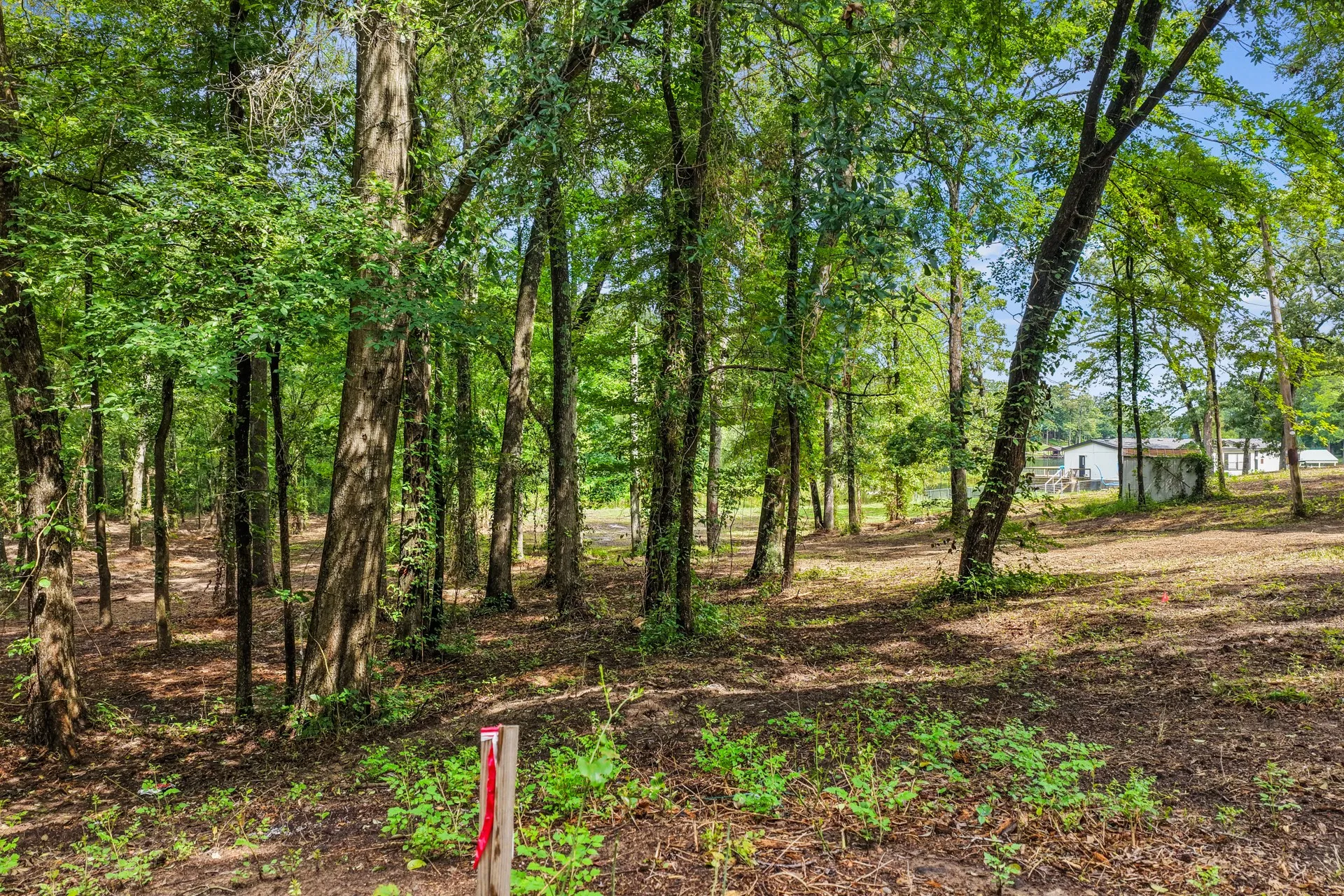 Unimproved Land For Sale in Franklin (TX) County , 133 Sandy Lake, Scroggins, Texas 75480, 0, 0, Garage spaces, 0 Sqft, built in 0, Price $399,000, mls#21340663, Real Estate Agent in Scroggins, Homes For Sale in Franklin (TX) county, Homes For Sale in Scroggins, Realtor in Scroggins Texas, Real Estate Brokerage Independent Realty Texas, Luminita Cordes Realtor
