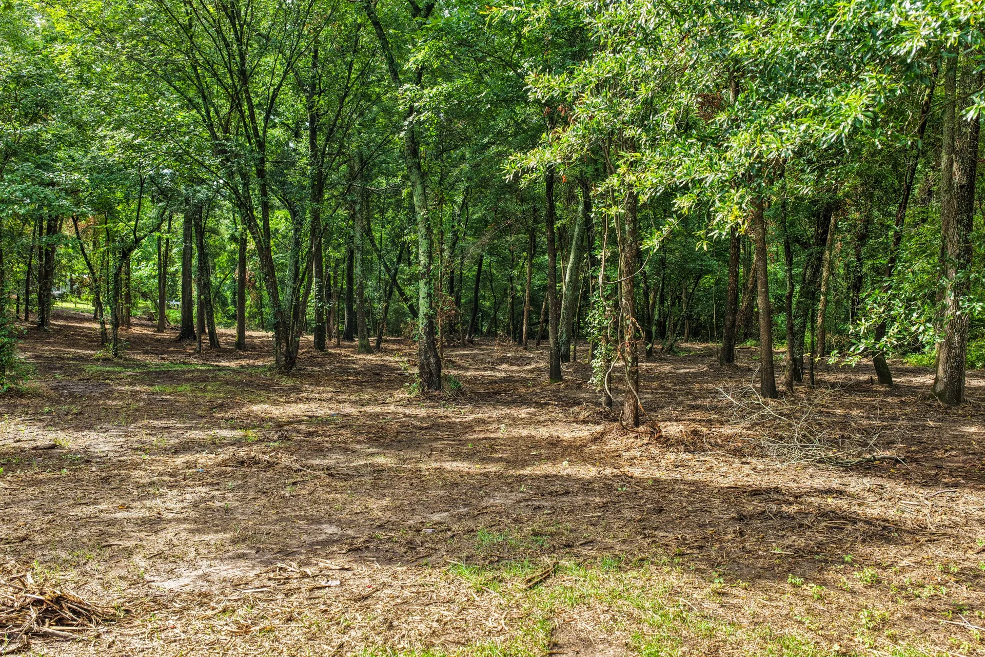 Unimproved Land For Sale in Franklin (TX) County , 133 Sandy Lake, Scroggins, Texas 75480, 0, 0, Garage spaces, 0 Sqft, built in 0, Price $399,000, mls#21340663, Real Estate Agent in Scroggins, Homes For Sale in Franklin (TX) county, Homes For Sale in Scroggins, Realtor in Scroggins Texas, Real Estate Brokerage Independent Realty Texas, Luminita Cordes Realtor