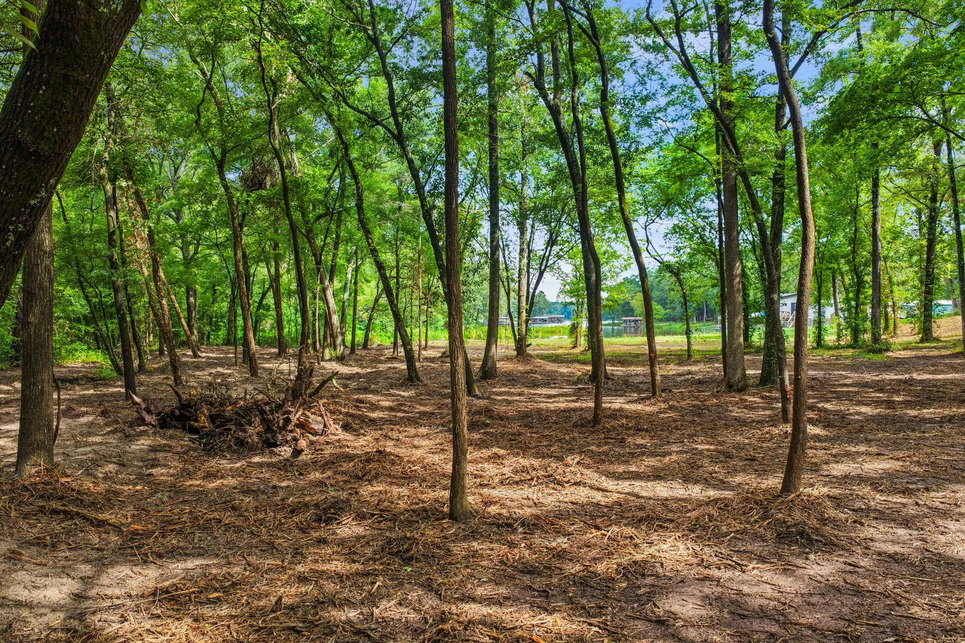 Unimproved Land For Sale in Franklin (TX) County , 133 Sandy Lake, Scroggins, Texas 75480, 0, 0, Garage spaces, 0 Sqft, built in 0, Price $399,000, mls#21340663, Real Estate Agent in Scroggins, Homes For Sale in Franklin (TX) county, Homes For Sale in Scroggins, Realtor in Scroggins Texas, Real Estate Brokerage Independent Realty Texas, Luminita Cordes Realtor