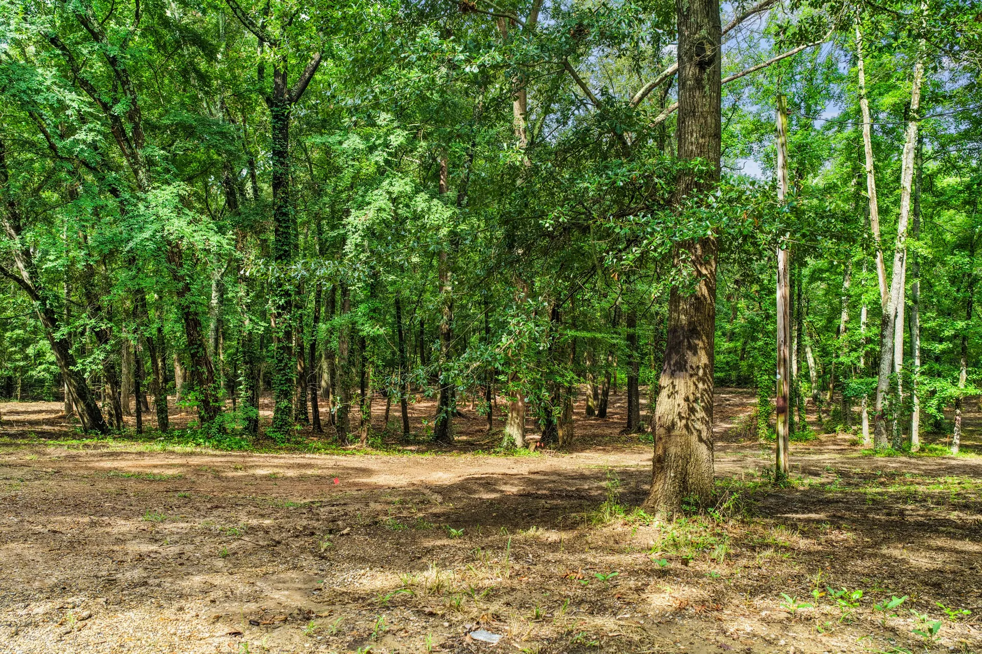 Unimproved Land For Sale in Franklin (TX) County , 133 Sandy Lake, Scroggins, Texas 75480, 0, 0, Garage spaces, 0 Sqft, built in 0, Price $399,000, mls#21340663, Real Estate Agent in Scroggins, Homes For Sale in Franklin (TX) county, Homes For Sale in Scroggins, Realtor in Scroggins Texas, Real Estate Brokerage Independent Realty Texas, Luminita Cordes Realtor