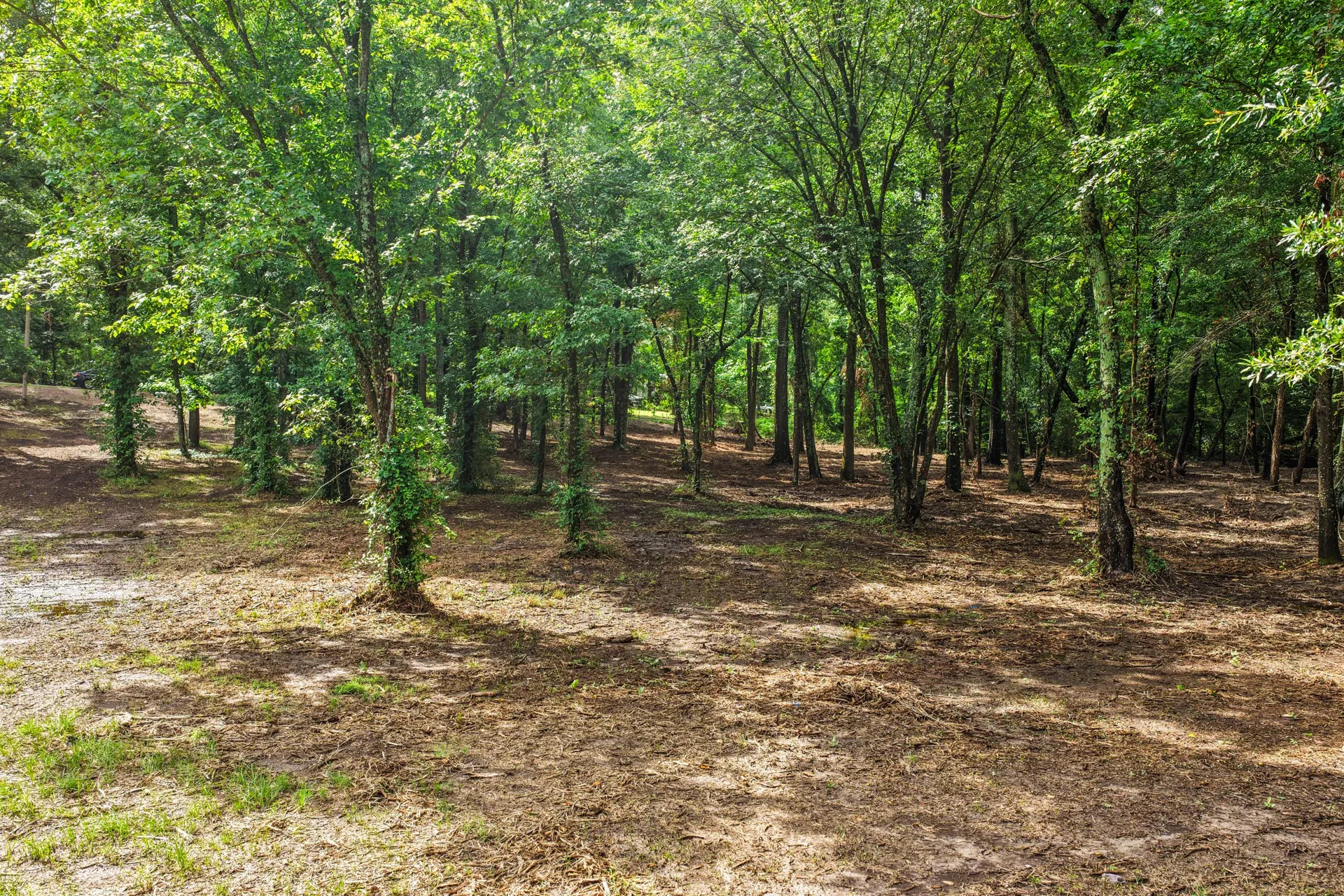 Unimproved Land For Sale in Franklin (TX) County , 133 Sandy Lake, Scroggins, Texas 75480, 0, 0, Garage spaces, 0 Sqft, built in 0, Price $399,000, mls#21340663, Real Estate Agent in Scroggins, Homes For Sale in Franklin (TX) county, Homes For Sale in Scroggins, Realtor in Scroggins Texas, Real Estate Brokerage Independent Realty Texas, Luminita Cordes Realtor