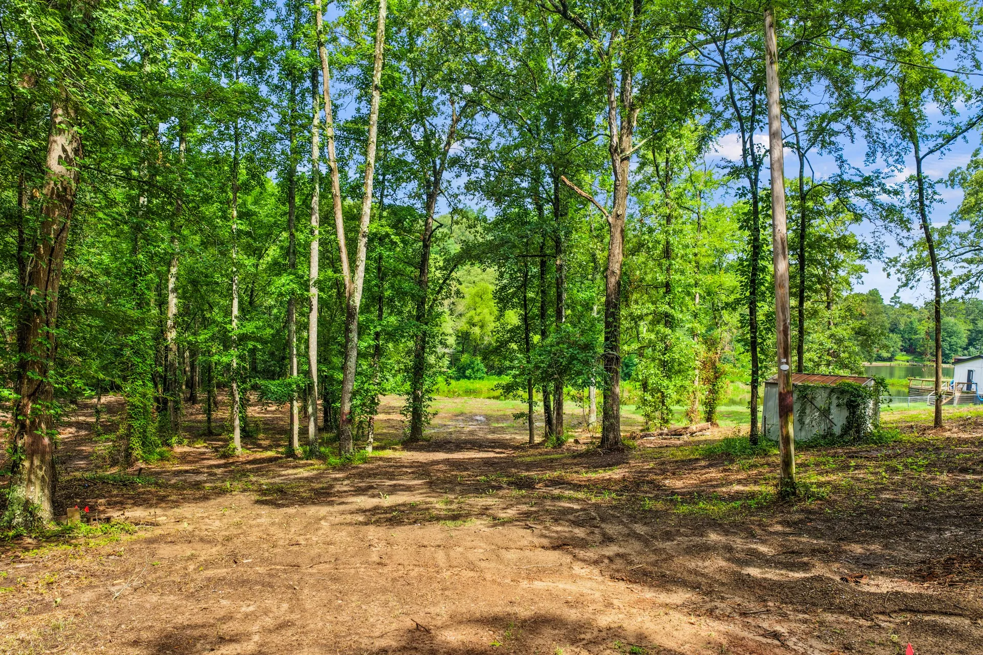 Unimproved Land For Sale in Franklin (TX) County , 133 Sandy Lake, Scroggins, Texas 75480, 0, 0, Garage spaces, 0 Sqft, built in 0, Price $399,000, mls#21340663, Real Estate Agent in Scroggins, Homes For Sale in Franklin (TX) county, Homes For Sale in Scroggins, Realtor in Scroggins Texas, Real Estate Brokerage Independent Realty Texas, Luminita Cordes Realtor