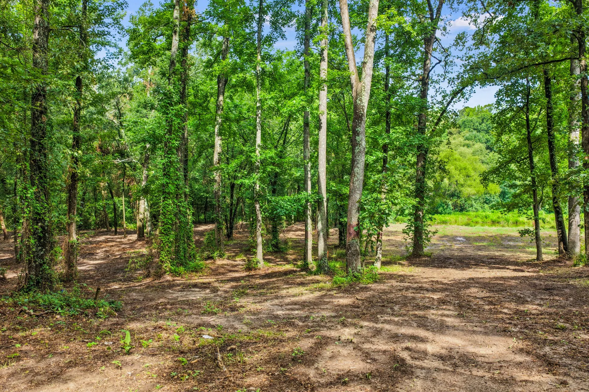 Unimproved Land For Sale in Franklin (TX) County , 133 Sandy Lake, Scroggins, Texas 75480, 0, 0, Garage spaces, 0 Sqft, built in 0, Price $399,000, mls#21340663, Real Estate Agent in Scroggins, Homes For Sale in Franklin (TX) county, Homes For Sale in Scroggins, Realtor in Scroggins Texas, Real Estate Brokerage Independent Realty Texas, Luminita Cordes Realtor