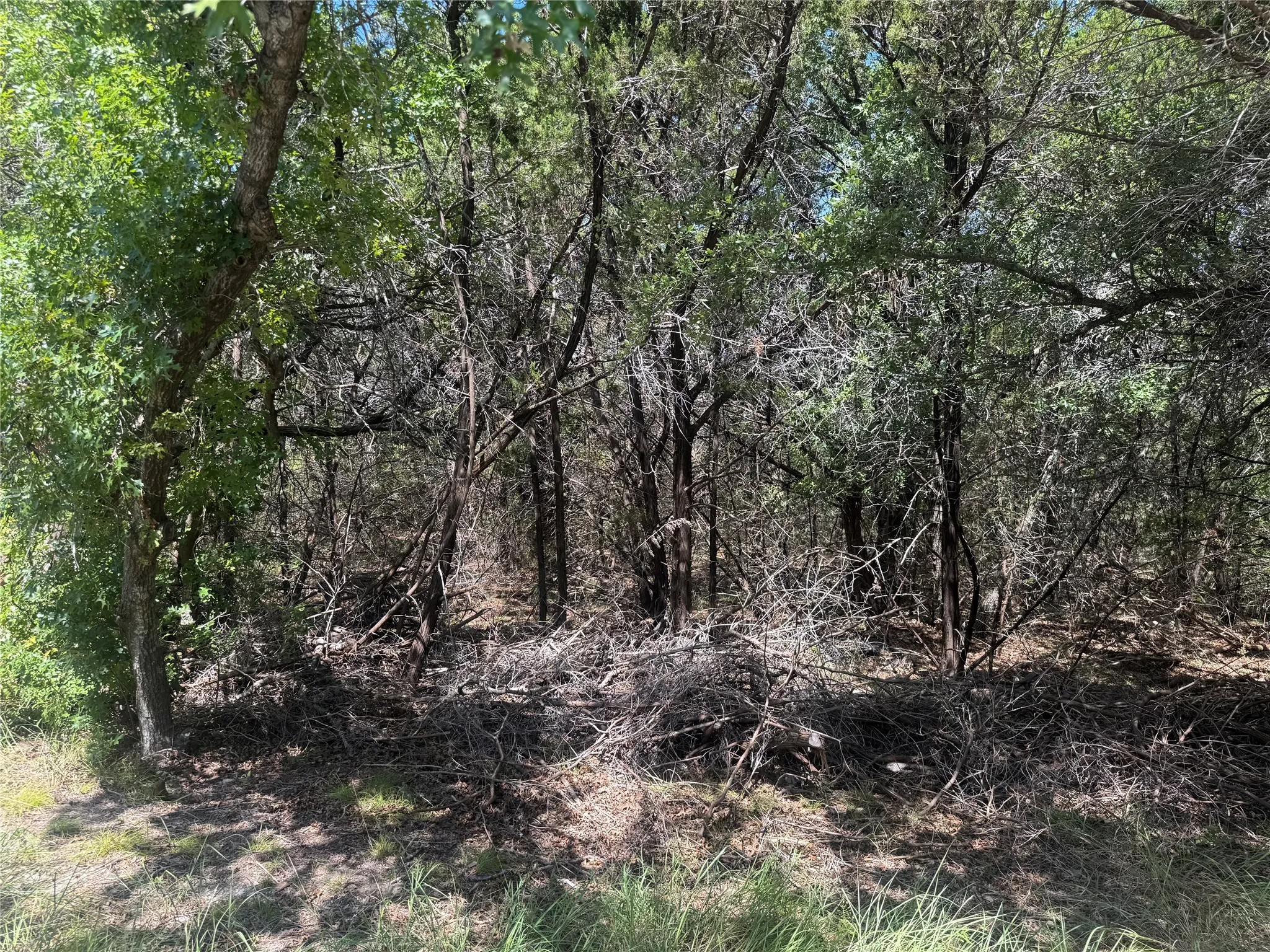 Unimproved Land For Sale in Hood County , 1516 S Chisholm Trail, Granbury, Texas 76048, 0, 0, Garage spaces, 0 Sqft, built in 0, Price $37,000, mls#21340685, Real Estate Agent in Granbury, Homes For Sale in Hood county, Homes For Sale in Granbury, Realtor in Granbury Texas, Real Estate Brokerage Independent Realty Texas, Luminita Cordes Realtor