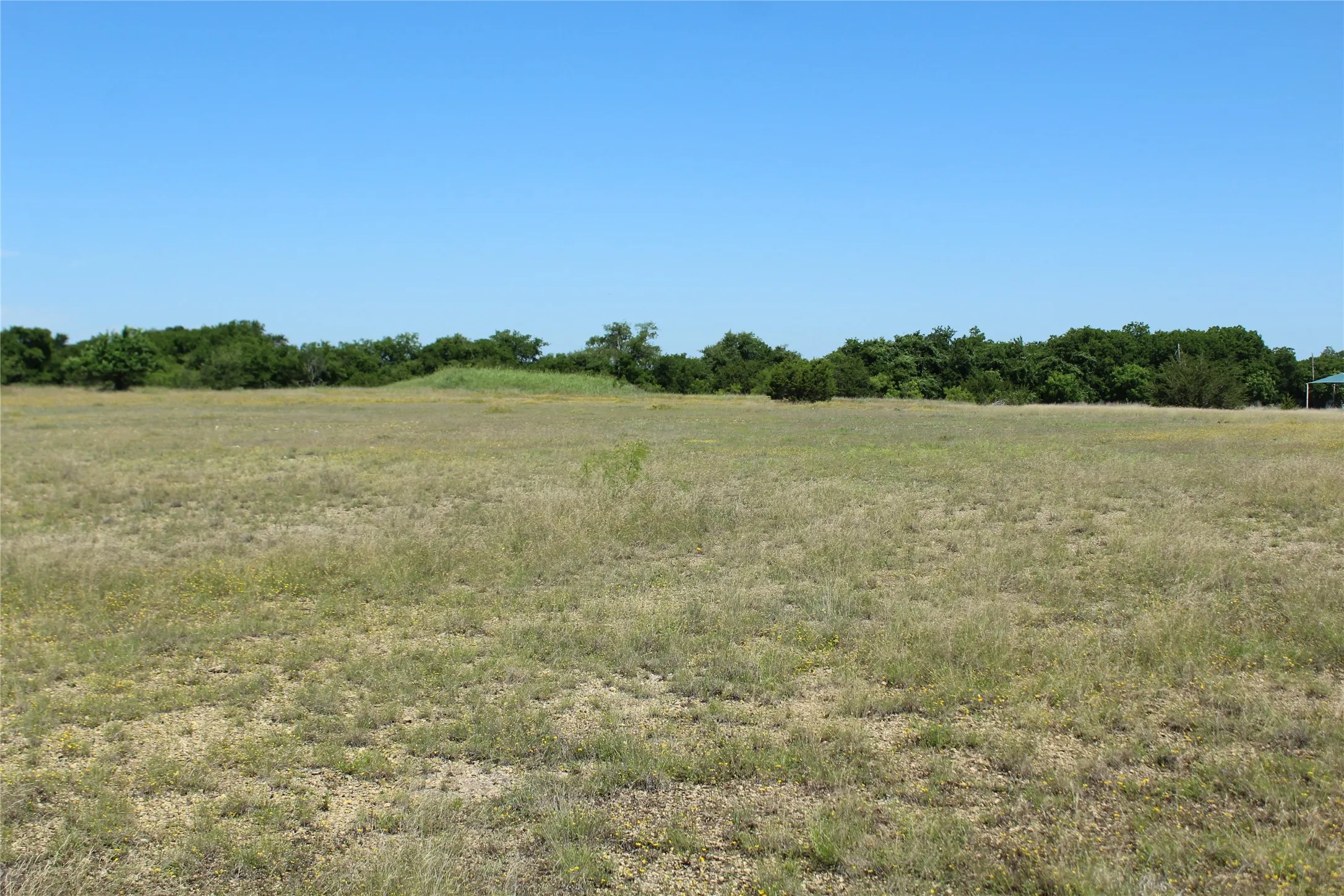 Expansive land parcel featuring natural grasses and mature tree lines