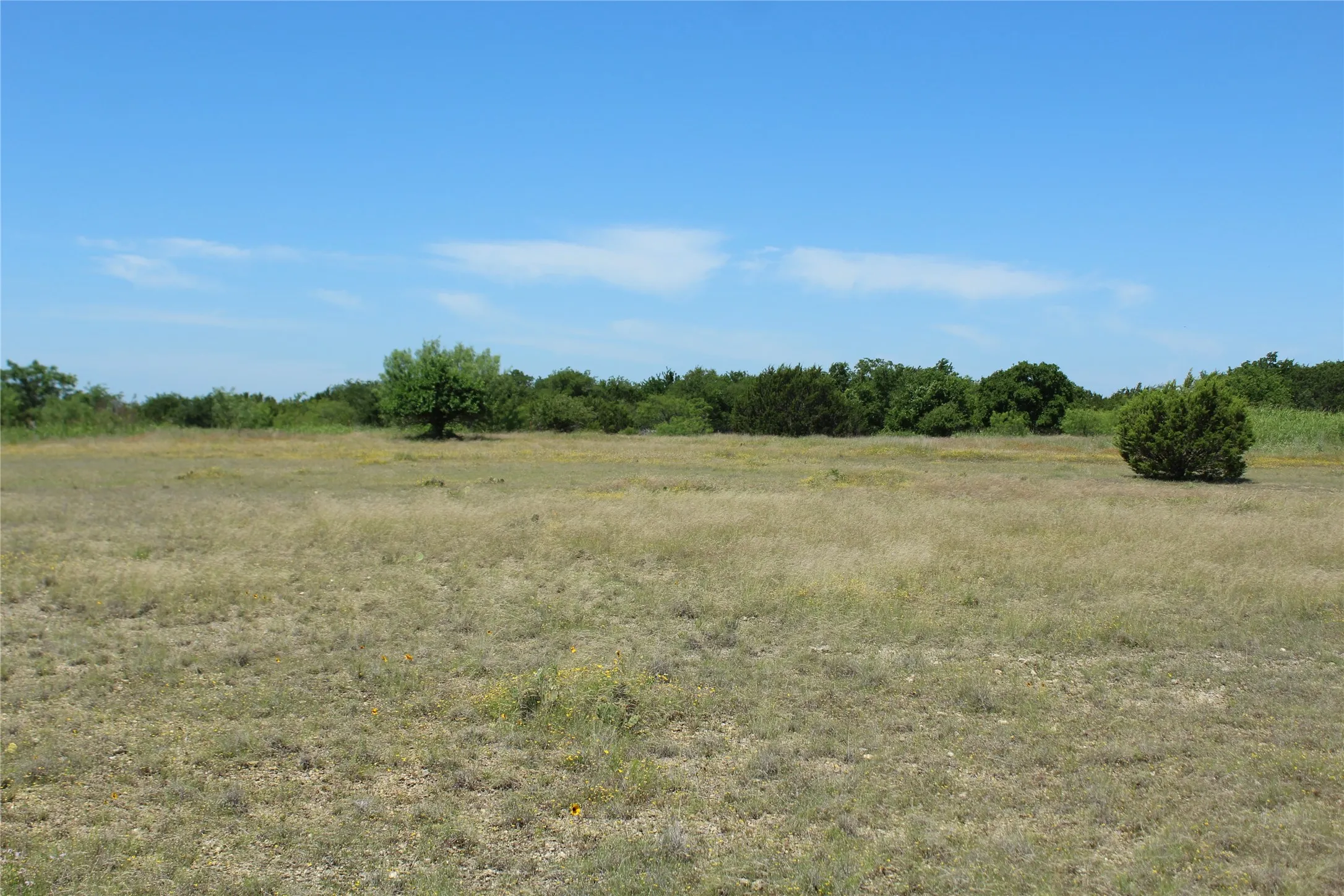 Expansive undeveloped lot featuring natural prairie grasses and scattered mature trees, bordered by a dense tree line