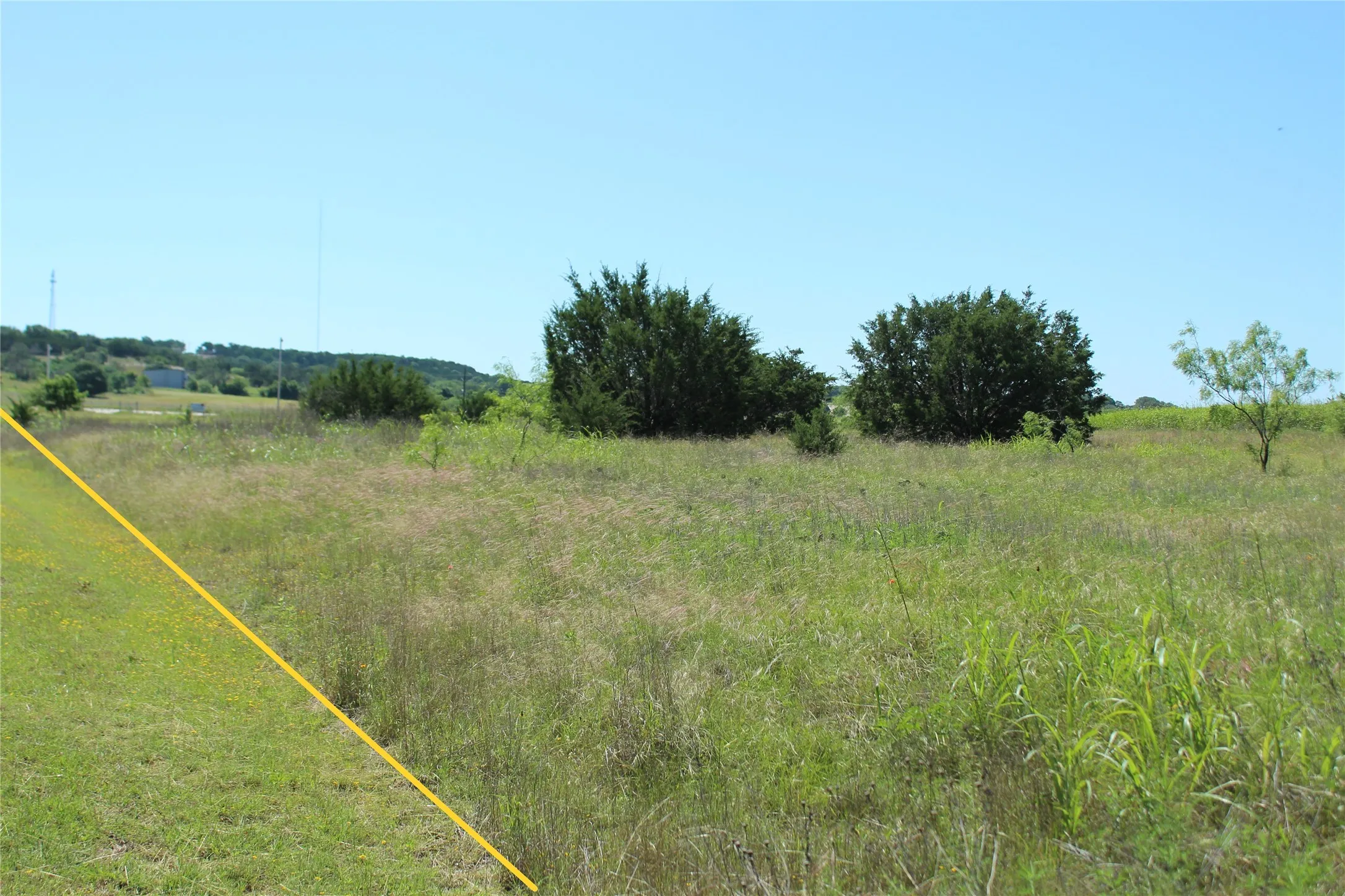 Expansive undeveloped land featuring varied grasses and scattered mature trees