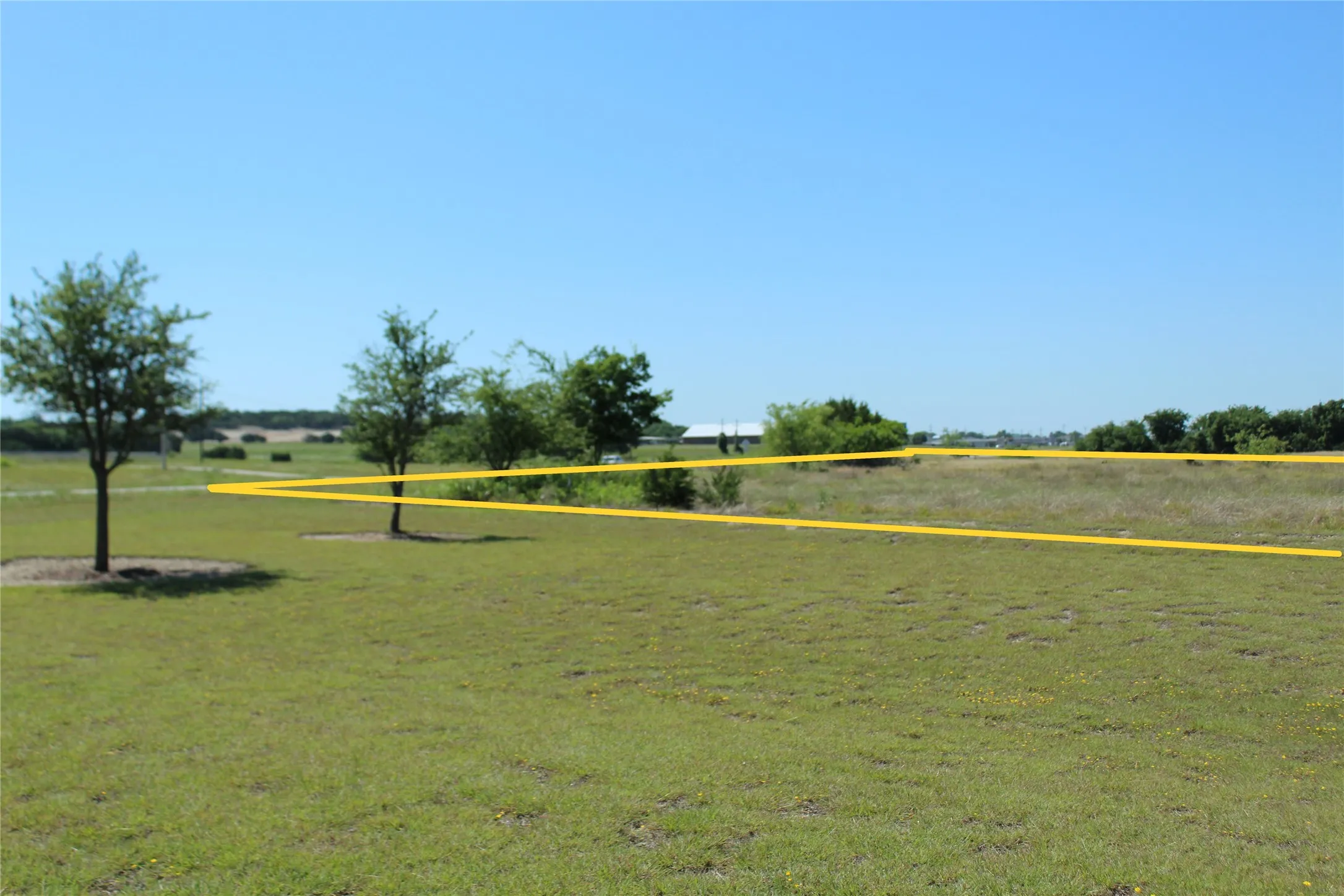 Expansive grassy area with scattered mature trees and distant foliage
