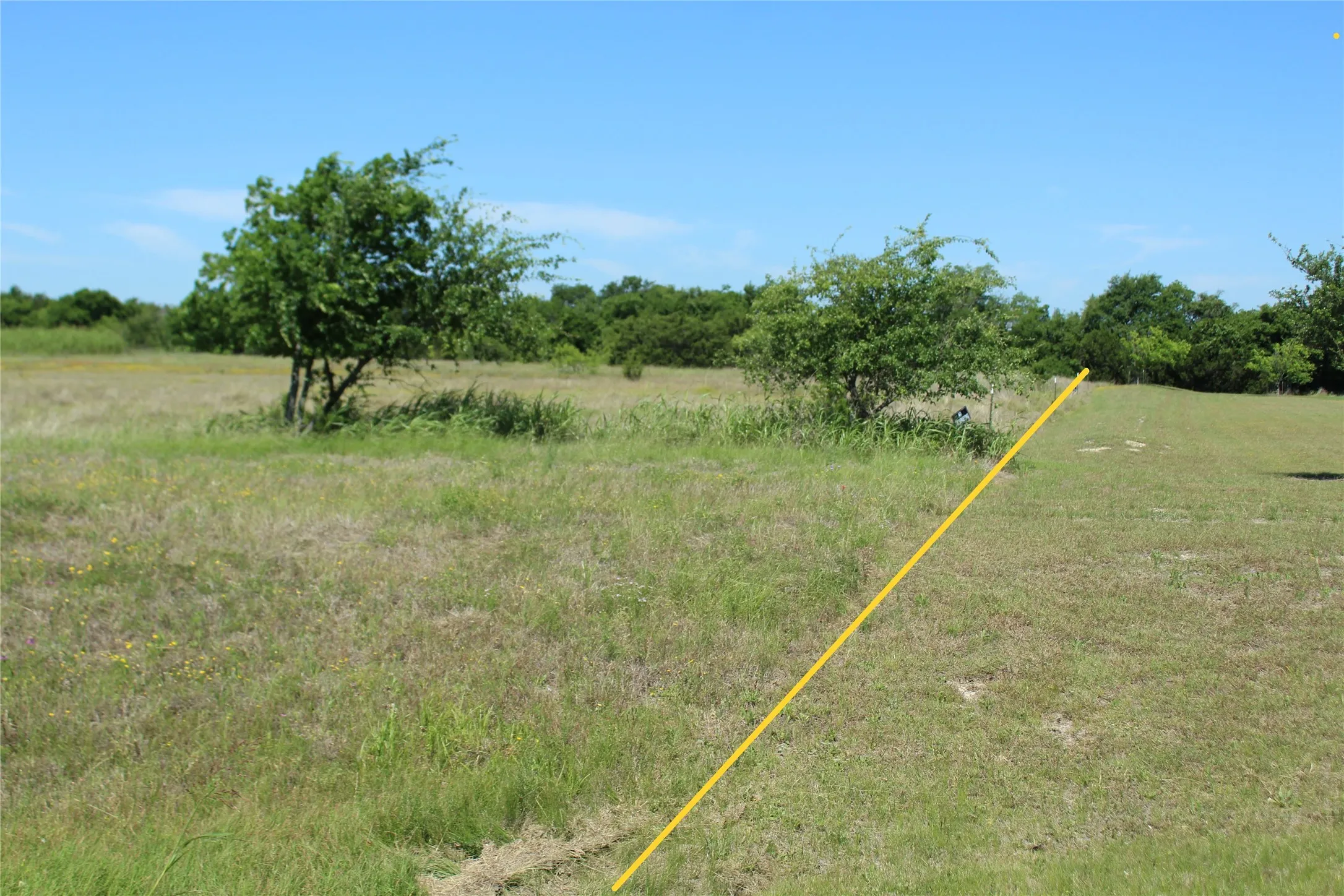 Unimproved Land For Sale in Coryell County , TBD N Hwy 36 Bypass, Gatesville, Texas 76528, 0, 0, Garage spaces, 0 Sqft, built in 0, Price $500,000, mls#21340691, Real Estate Agent in Gatesville, Homes For Sale in Coryell county, Homes For Sale in Gatesville, Realtor in Gatesville Texas, Real Estate Brokerage Independent Realty Texas, Luminita Cordes Realtor