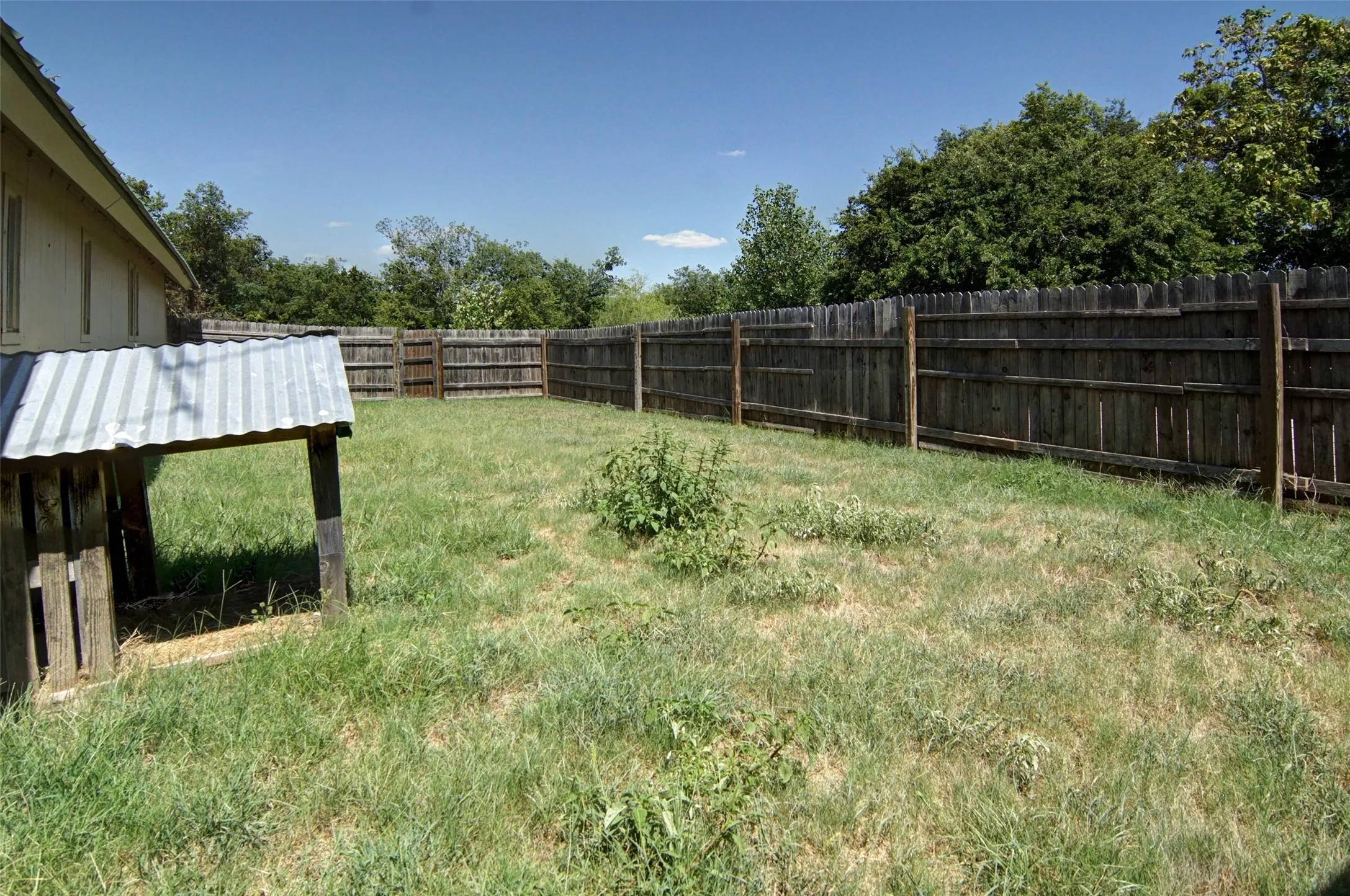 Backyard