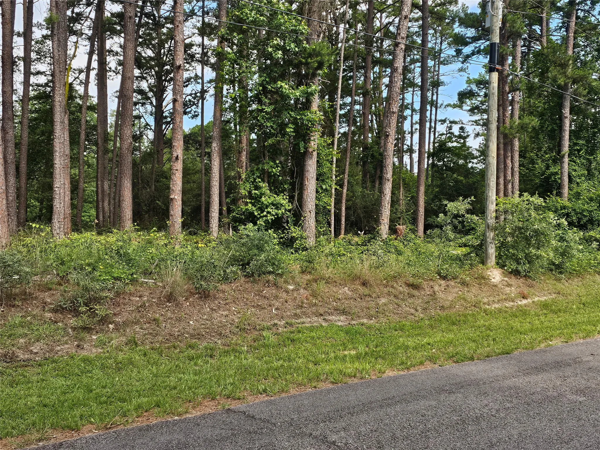 Unimproved Land For Sale in Wood County , TBD Green Meadow Trail (Lot 140), Holly Lake Ranch, Texas 75765, 0, 0, Garage spaces, 0 Sqft, built in 0, Price $22,500, mls#21315252, Real Estate Agent in Holly Lake Ranch, Homes For Sale in Wood county, Homes For Sale in Holly Lake Ranch, Realtor in Holly Lake Ranch Texas, Real Estate Brokerage Independent Realty Texas, Luminita Cordes Realtor