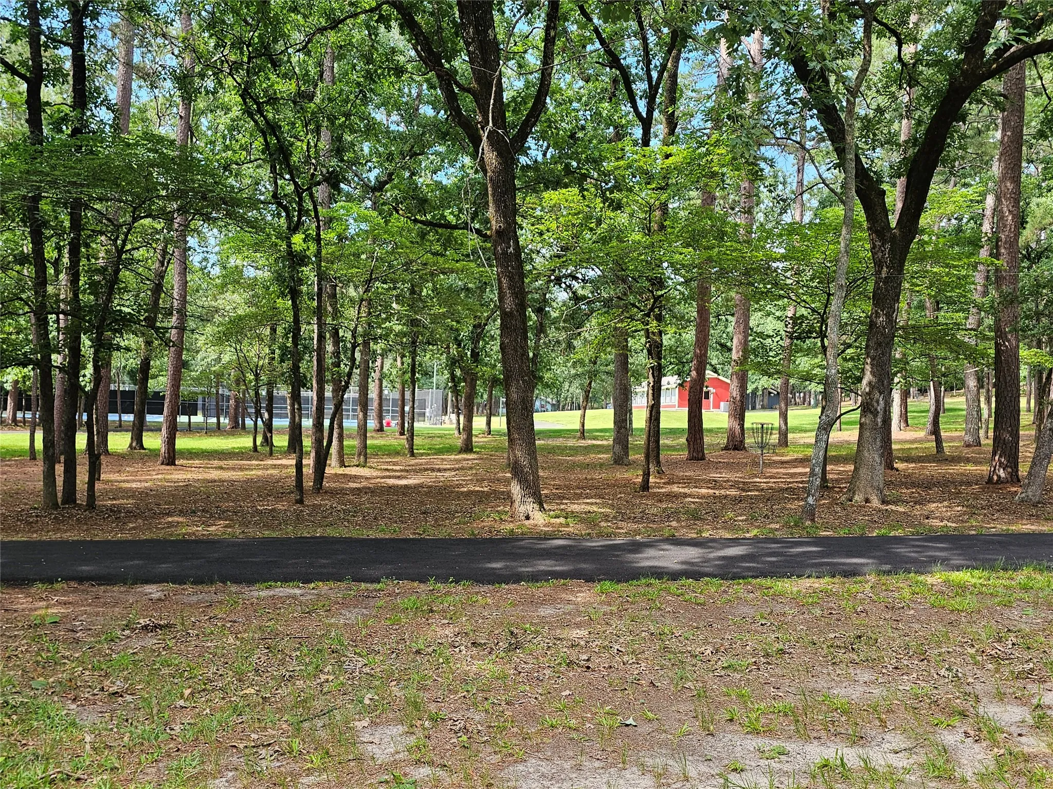 Unimproved Land For Sale in Wood County , TBD Green Meadow Trail (Lot 140), Holly Lake Ranch, Texas 75765, 0, 0, Garage spaces, 0 Sqft, built in 0, Price $22,500, mls#21315252, Real Estate Agent in Holly Lake Ranch, Homes For Sale in Wood county, Homes For Sale in Holly Lake Ranch, Realtor in Holly Lake Ranch Texas, Real Estate Brokerage Independent Realty Texas, Luminita Cordes Realtor