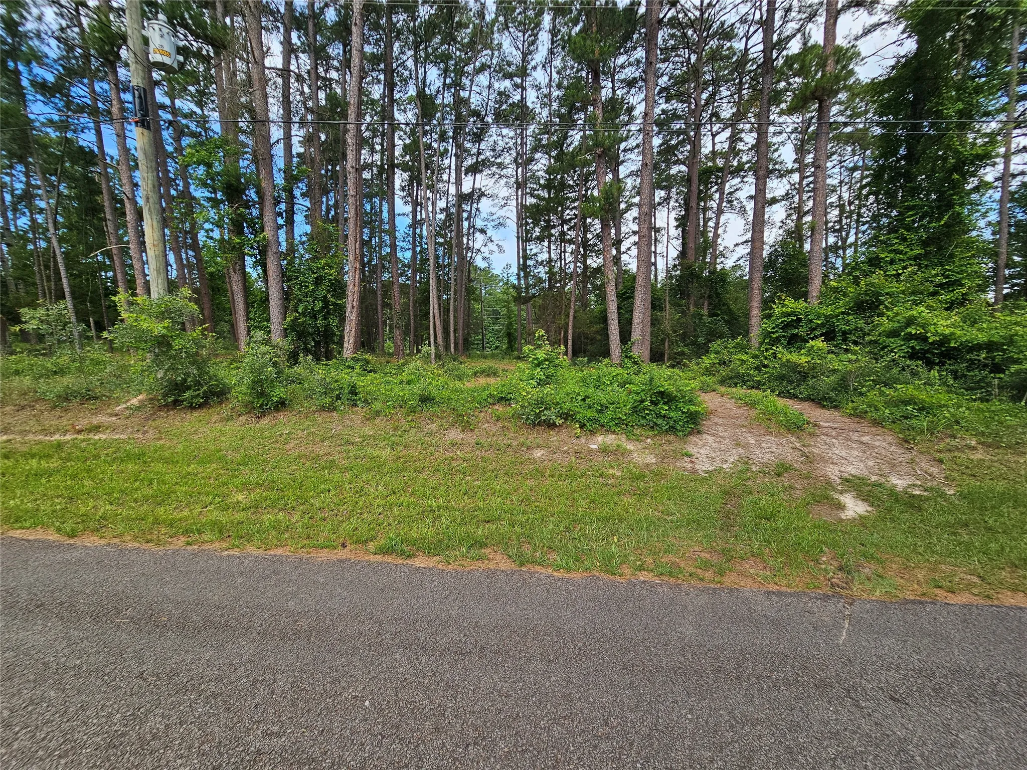 Unimproved Land For Sale in Wood County , TBD Green Meadow Trail (Lot 140), Holly Lake Ranch, Texas 75765, 0, 0, Garage spaces, 0 Sqft, built in 0, Price $22,500, mls#21315252, Real Estate Agent in Holly Lake Ranch, Homes For Sale in Wood county, Homes For Sale in Holly Lake Ranch, Realtor in Holly Lake Ranch Texas, Real Estate Brokerage Independent Realty Texas, Luminita Cordes Realtor