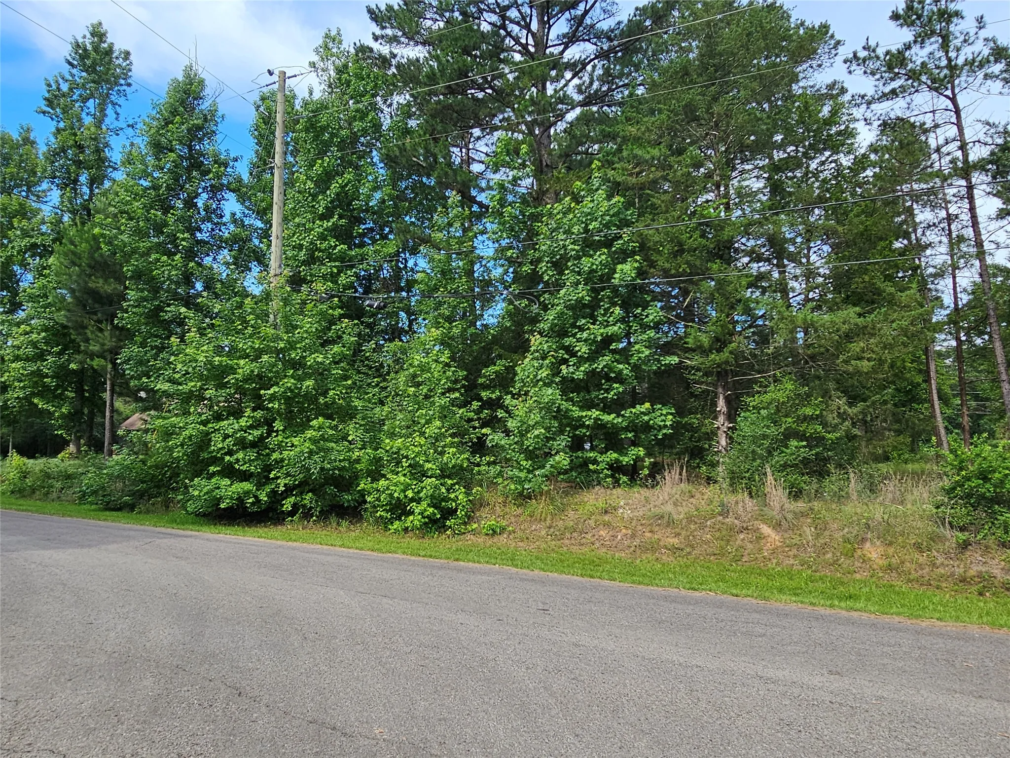 Wooded lot featuring mature trees and a paved road frontage
