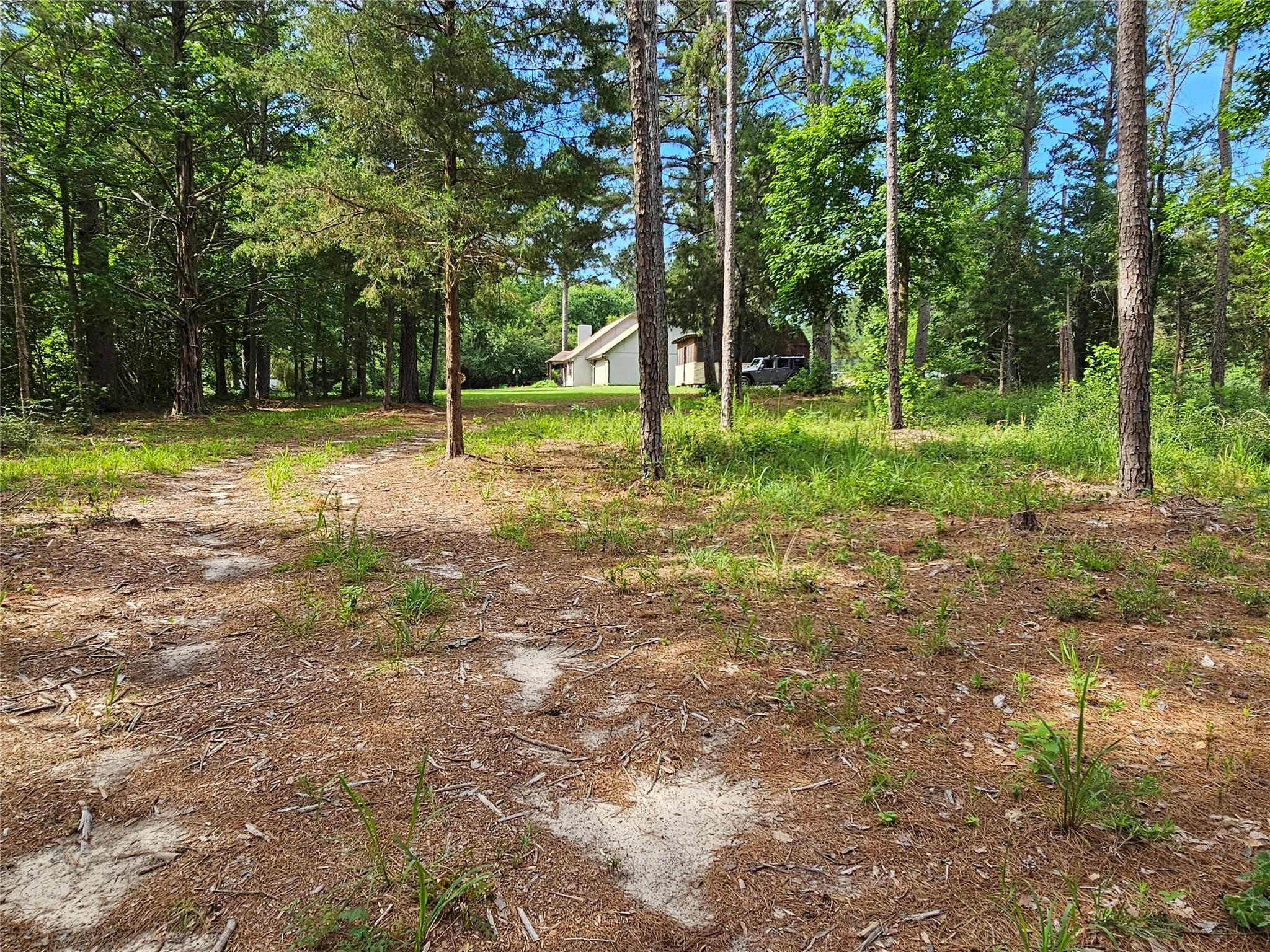 Unimproved Land For Sale in Wood County , TBD Green Meadow Trail (Lot 140), Holly Lake Ranch, Texas 75765, 0, 0, Garage spaces, 0 Sqft, built in 0, Price $22,500, mls#21315252, Real Estate Agent in Holly Lake Ranch, Homes For Sale in Wood county, Homes For Sale in Holly Lake Ranch, Realtor in Holly Lake Ranch Texas, Real Estate Brokerage Independent Realty Texas, Luminita Cordes Realtor