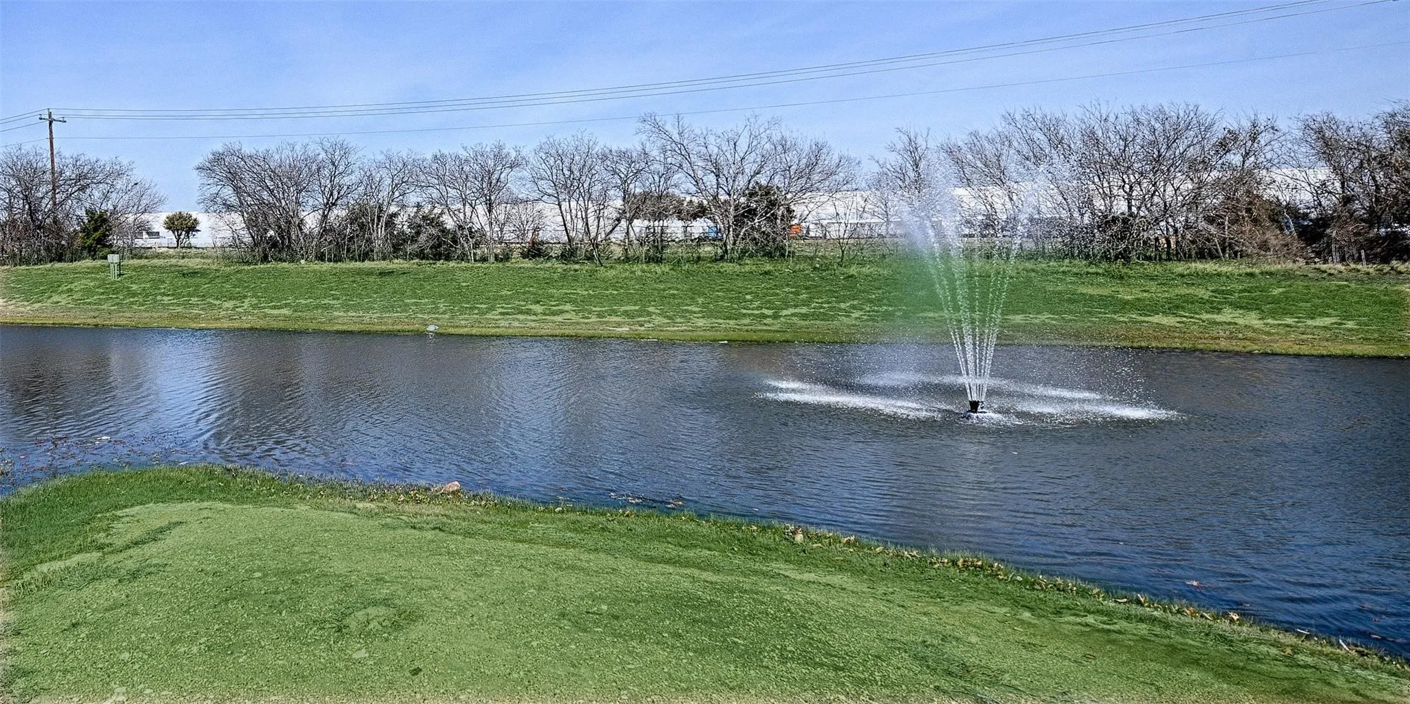community pond
