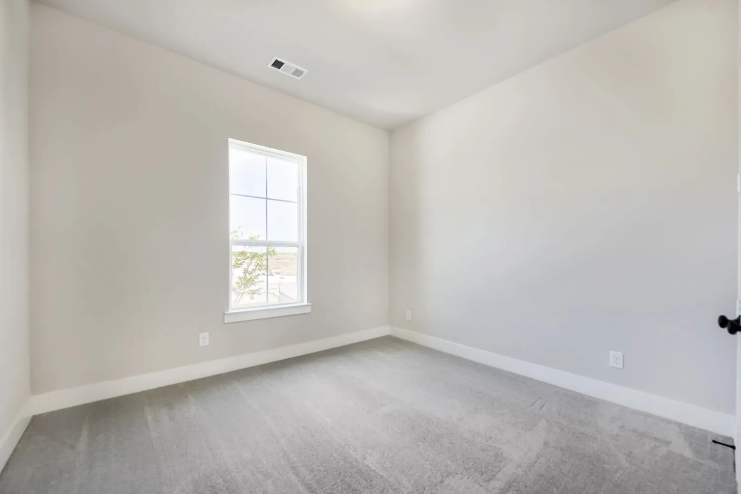 Neutral wall paint, light gray carpeting, and a white-framed window