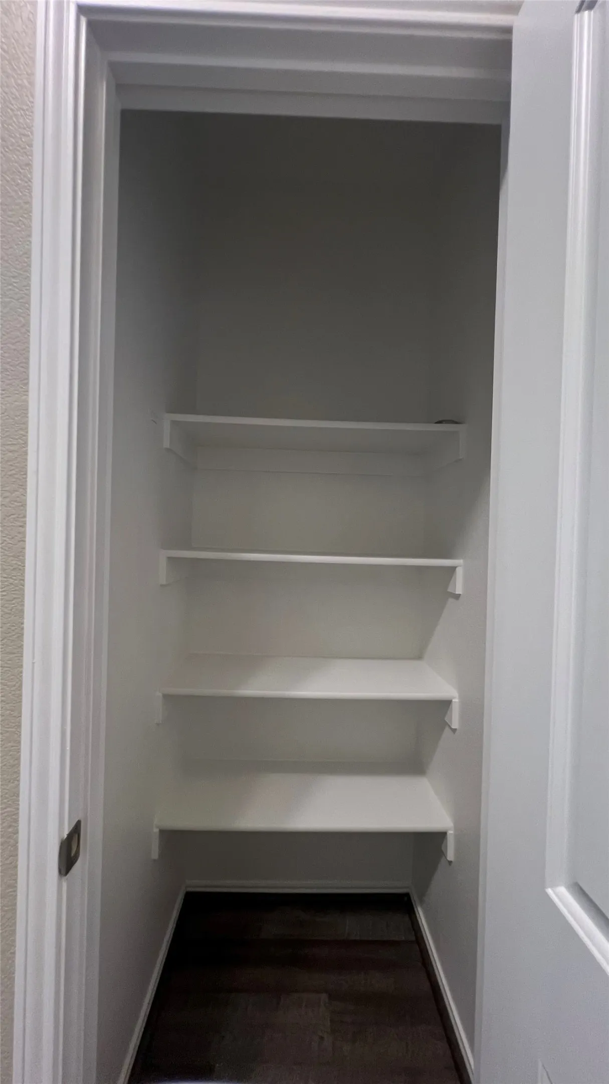 Primary bath linen closet