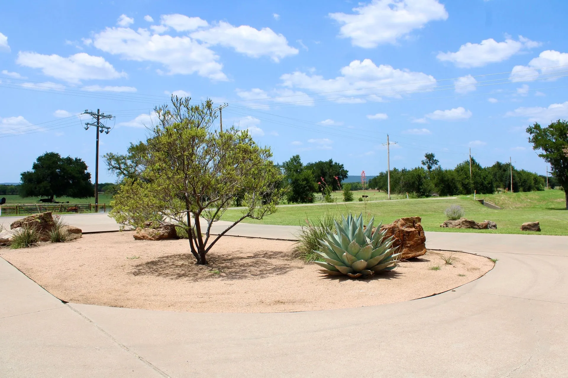 Unimproved Land For Sale in Palo Pinto County , TBD Stage Coach Trail, Gordon, Texas 76453, 0, 0, Garage spaces, 0 Sqft, built in 0, Price $80,000, mls#21340707, Real Estate Agent in Gordon, Homes For Sale in Palo Pinto county, Homes For Sale in Gordon, Realtor in Gordon Texas, Real Estate Brokerage Independent Realty Texas, Luminita Cordes Realtor