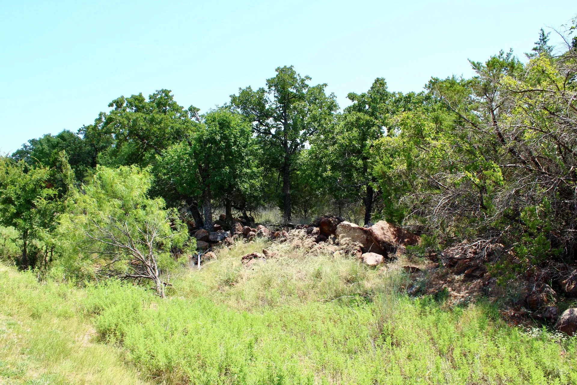Natural hillside setting featuring mature trees, diverse foliage, visible rock formations, and varied ground cover