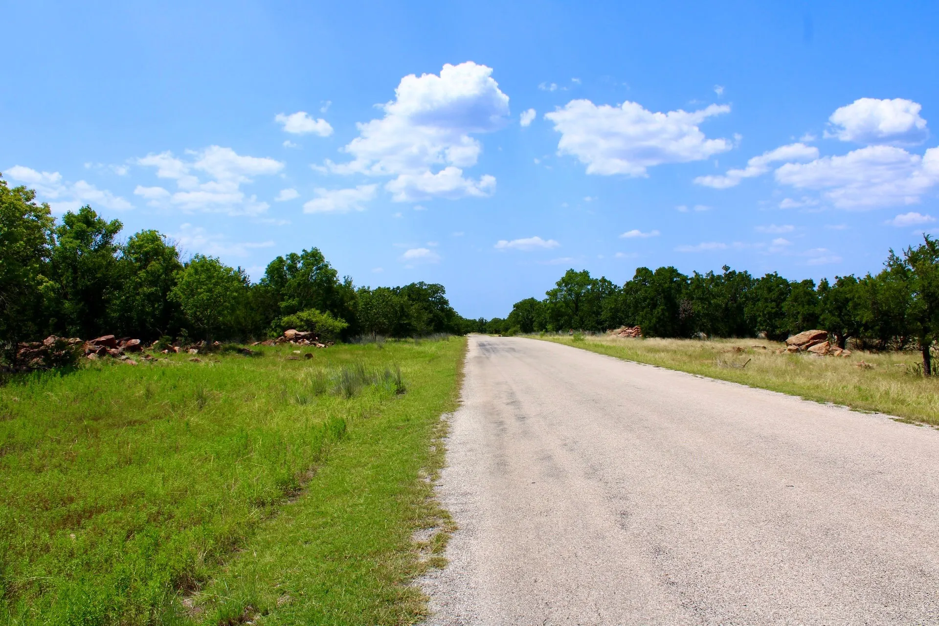 Paved road flanked by natural landscaping and mature trees