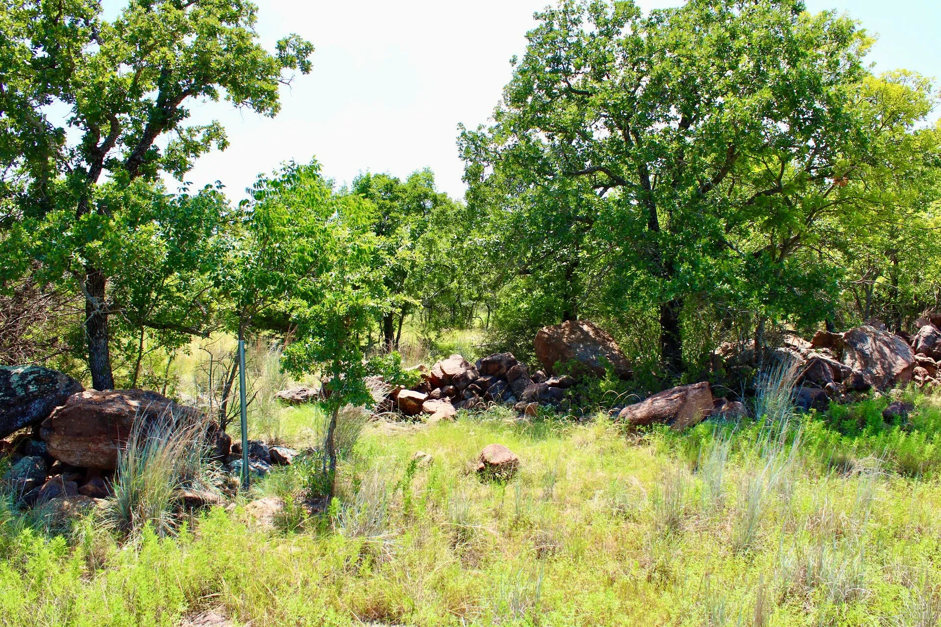 Land parcel featuring mature trees, natural rock formations, varying foliage, and open sky