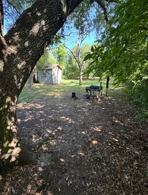 Expansive outdoor area featuring mature trees, a detached storage shed, and natural ground cover