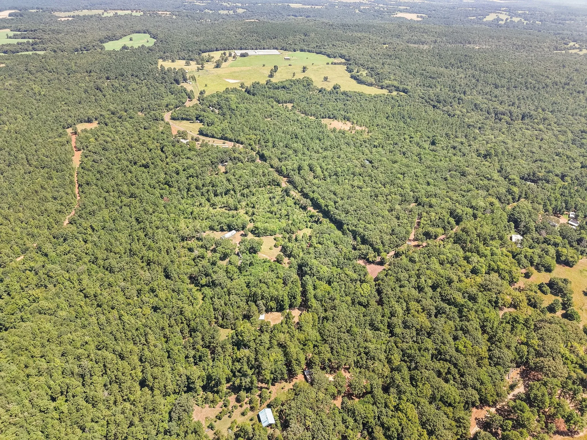 Unimproved Land For Sale in Anderson County , 1684 An County Rd 441 Road, Palestine, Texas 75803, 0, 0, Garage spaces, 0 Sqft, built in 0, mls#21339042, Real Estate Agent in Palestine, Homes For Sale in Anderson county, Homes For Sale in Palestine, Realtor in Palestine Texas, Real Estate Brokerage Independent Realty Texas, Luminita Cordes Realtor