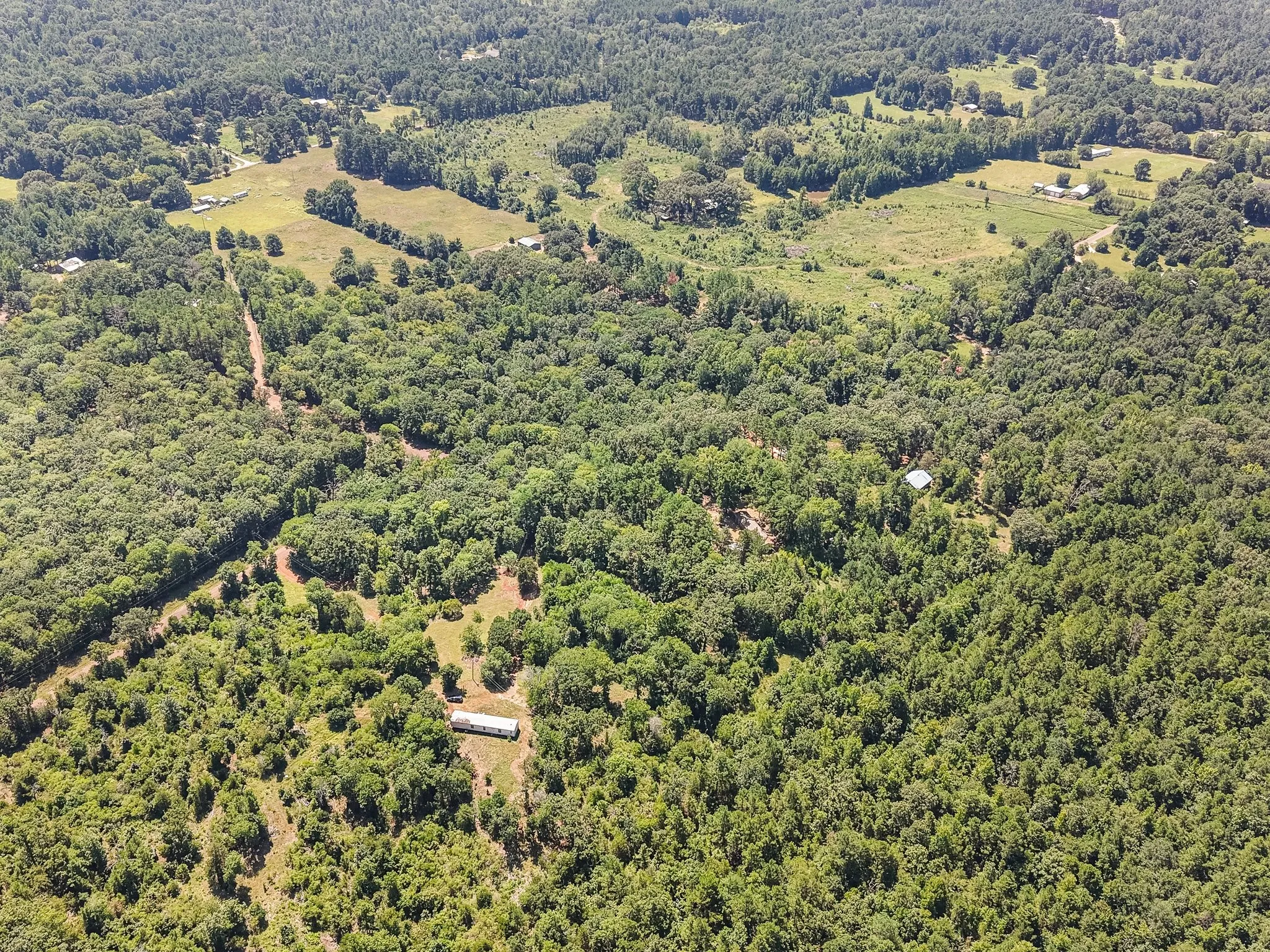 Unimproved Land For Sale in Anderson County , 1684 An County Rd 441 Road, Palestine, Texas 75803, 0, 0, Garage spaces, 0 Sqft, built in 0, mls#21339042, Real Estate Agent in Palestine, Homes For Sale in Anderson county, Homes For Sale in Palestine, Realtor in Palestine Texas, Real Estate Brokerage Independent Realty Texas, Luminita Cordes Realtor