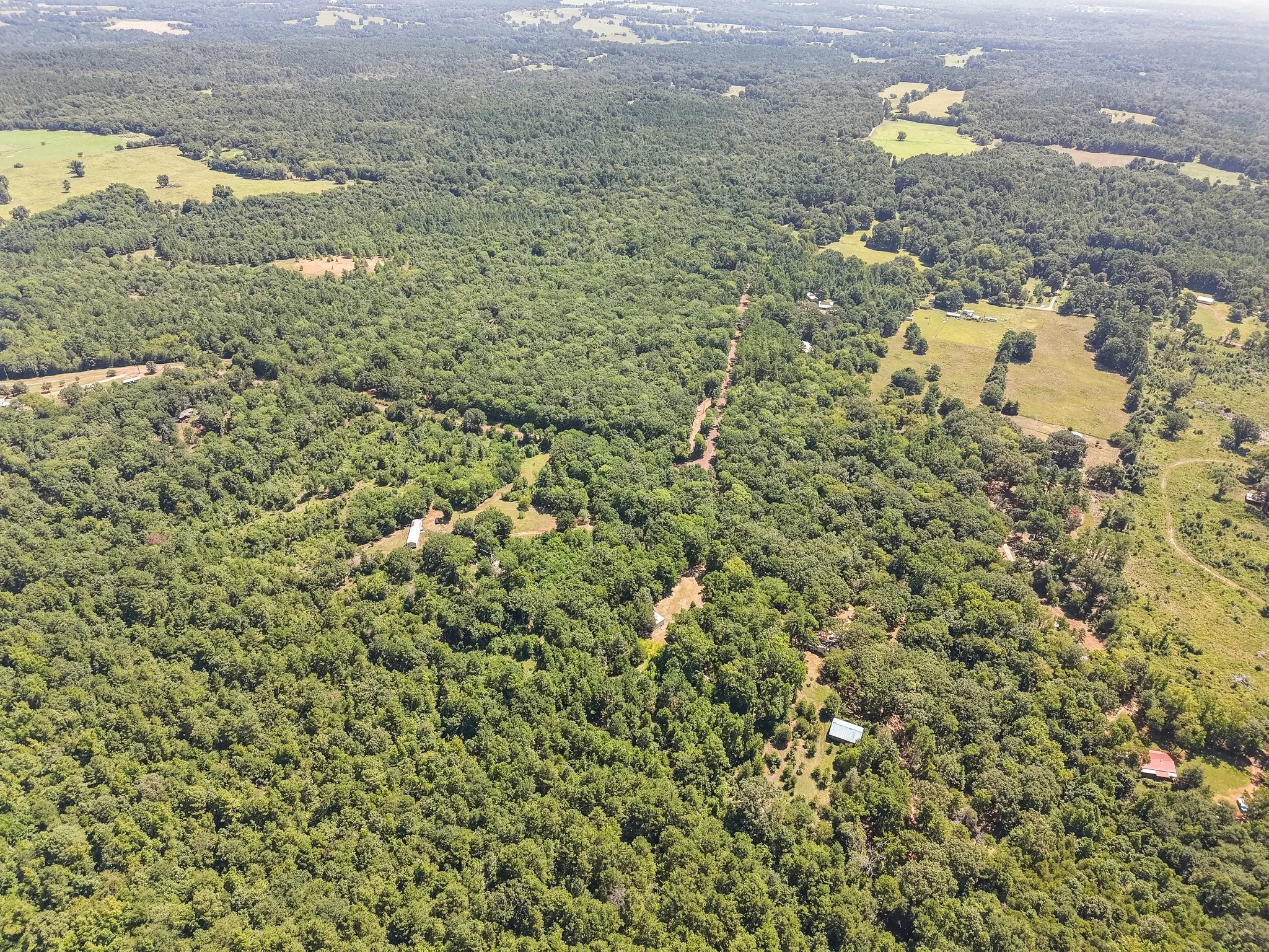 Unimproved Land For Sale in Anderson County , 1684 An County Rd 441 Road, Palestine, Texas 75803, 0, 0, Garage spaces, 0 Sqft, built in 0, mls#21339042, Real Estate Agent in Palestine, Homes For Sale in Anderson county, Homes For Sale in Palestine, Realtor in Palestine Texas, Real Estate Brokerage Independent Realty Texas, Luminita Cordes Realtor