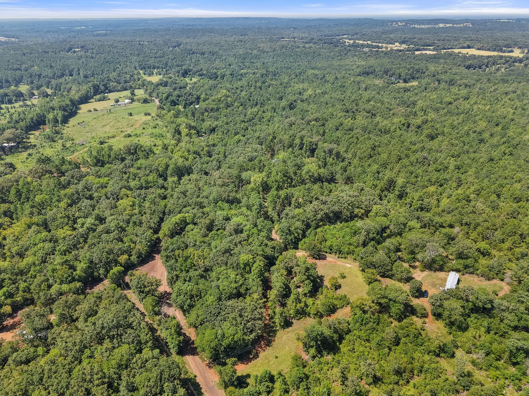 Unimproved Land For Sale in Anderson County , 1684 An County Rd 441 Road, Palestine, Texas 75803, 0, 0, Garage spaces, 0 Sqft, built in 0, mls#21339042, Real Estate Agent in Palestine, Homes For Sale in Anderson county, Homes For Sale in Palestine, Realtor in Palestine Texas, Real Estate Brokerage Independent Realty Texas, Luminita Cordes Realtor