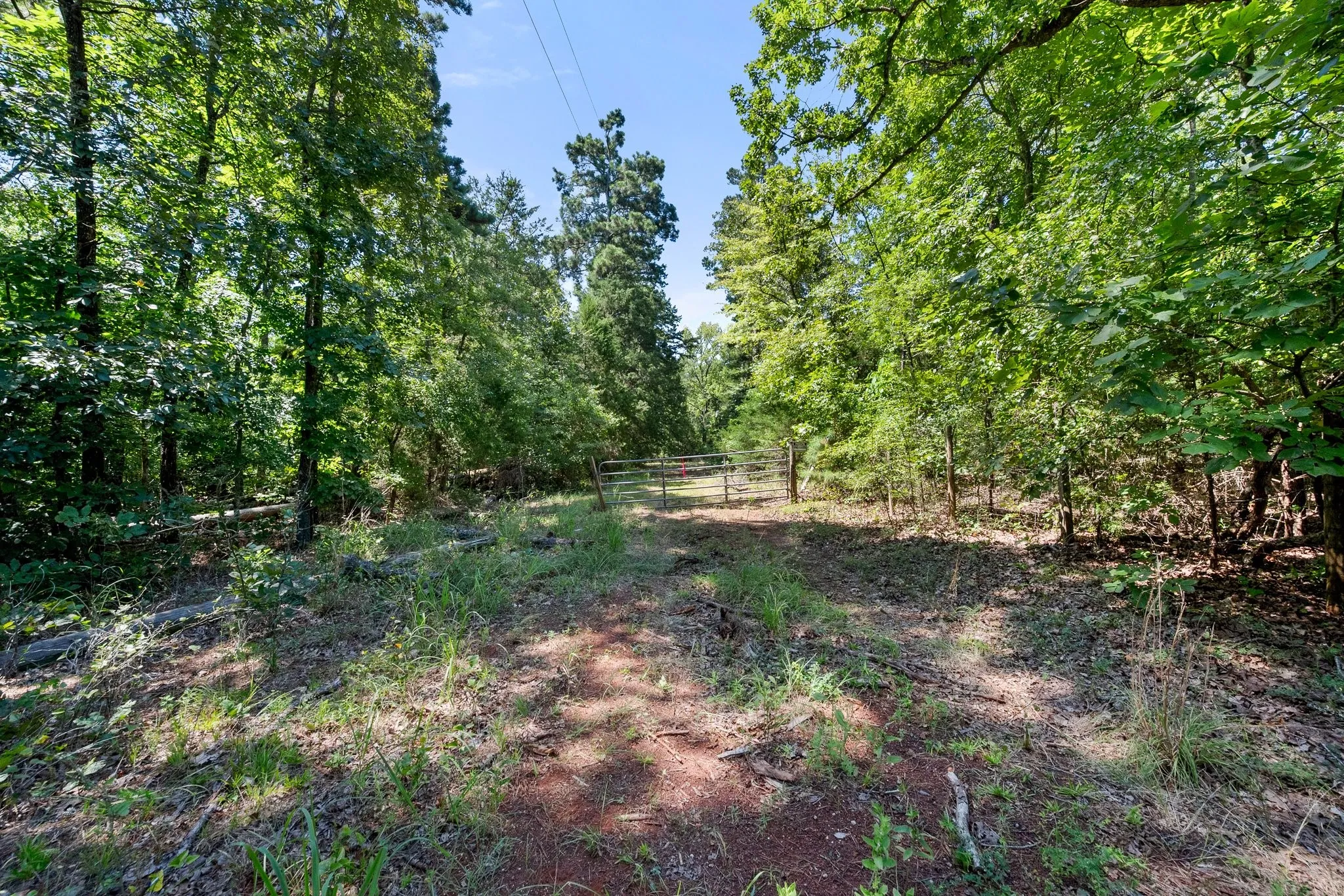 Unimproved Land For Sale in Anderson County , 1684 An County Rd 441 Road, Palestine, Texas 75803, 0, 0, Garage spaces, 0 Sqft, built in 0, mls#21339042, Real Estate Agent in Palestine, Homes For Sale in Anderson county, Homes For Sale in Palestine, Realtor in Palestine Texas, Real Estate Brokerage Independent Realty Texas, Luminita Cordes Realtor