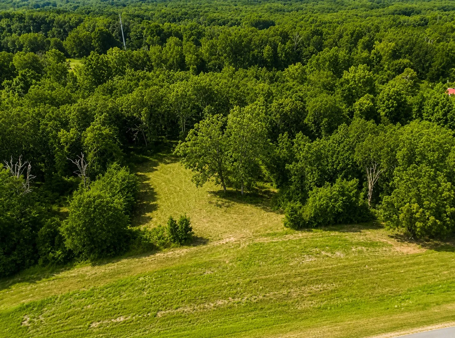 Unimproved Land For Sale in Smith County , TBD W HWY 80, Mineola, Texas 75773, 0, 0, Garage spaces, 0 Sqft, built in 0, mls#21340668, Real Estate Agent in Mineola, Homes For Sale in Smith county, Homes For Sale in Mineola, Realtor in Mineola Texas, Real Estate Brokerage Independent Realty Texas, Luminita Cordes Realtor