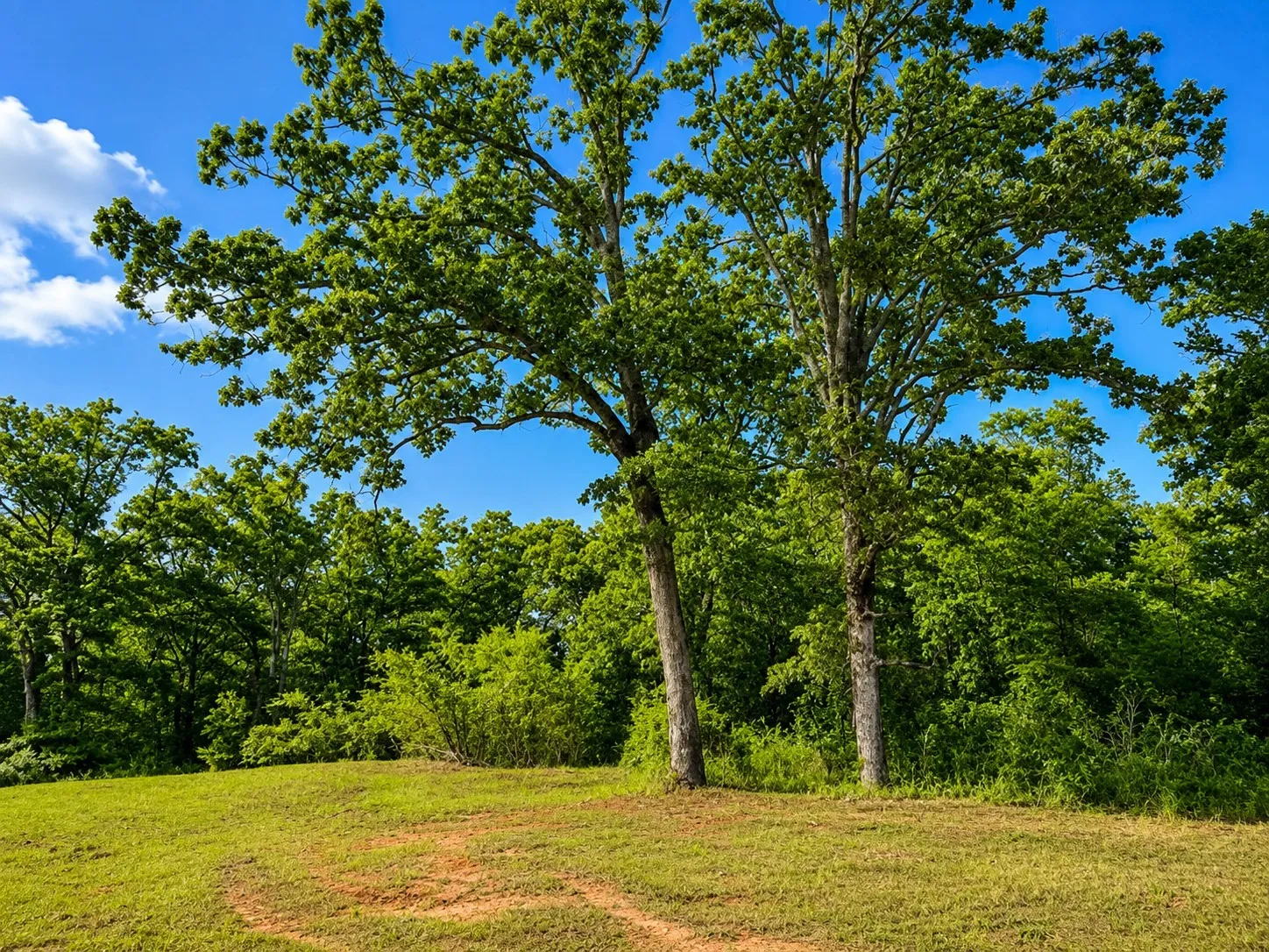Unimproved Land For Sale in Smith County , TBD W HWY 80, Mineola, Texas 75773, 0, 0, Garage spaces, 0 Sqft, built in 0, mls#21340668, Real Estate Agent in Mineola, Homes For Sale in Smith county, Homes For Sale in Mineola, Realtor in Mineola Texas, Real Estate Brokerage Independent Realty Texas, Luminita Cordes Realtor