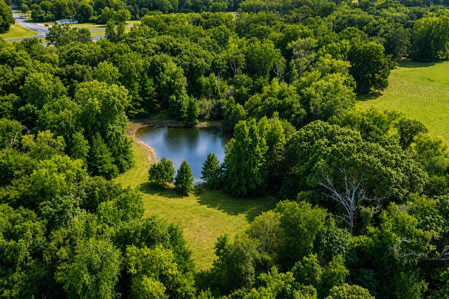 Pond