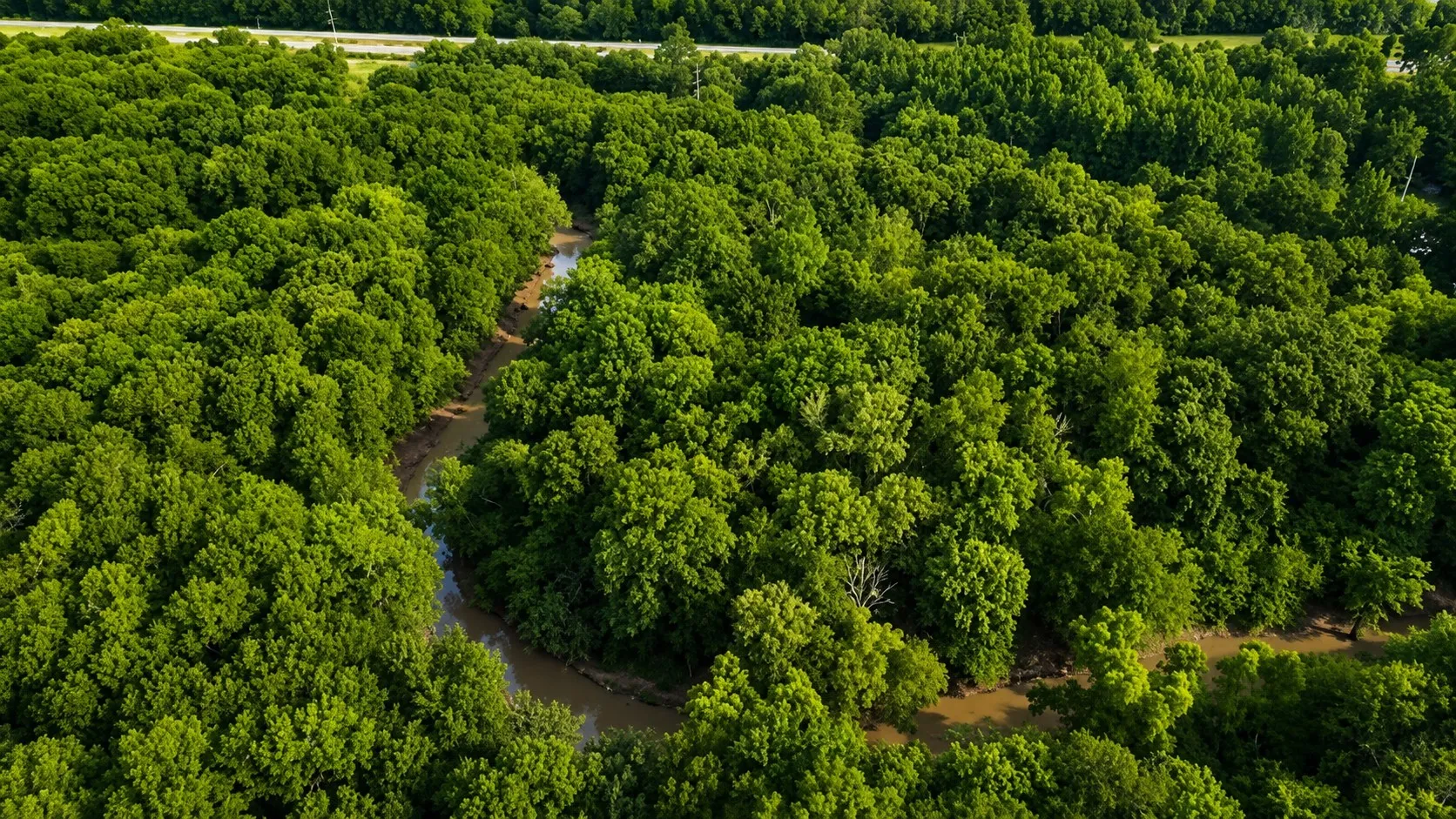 Sabine River shown