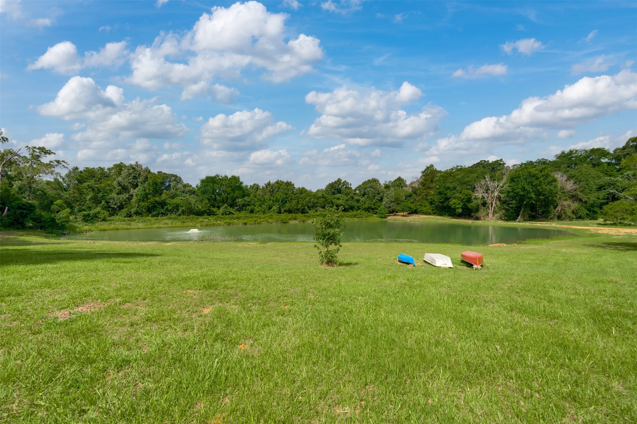 Farm For Sale in Anderson County , 5109 FM 860, Montalba, Texas 75853, 5 Bedroom, 3 Bathroom, Garage spaces, 0 Sqft, built in 2019, mls#21340231, Real Estate Agent in Montalba, Homes For Sale in Anderson county, Homes For Sale in Montalba, Realtor in Montalba Texas, Real Estate Brokerage Independent Realty Texas, Luminita Cordes Realtor
