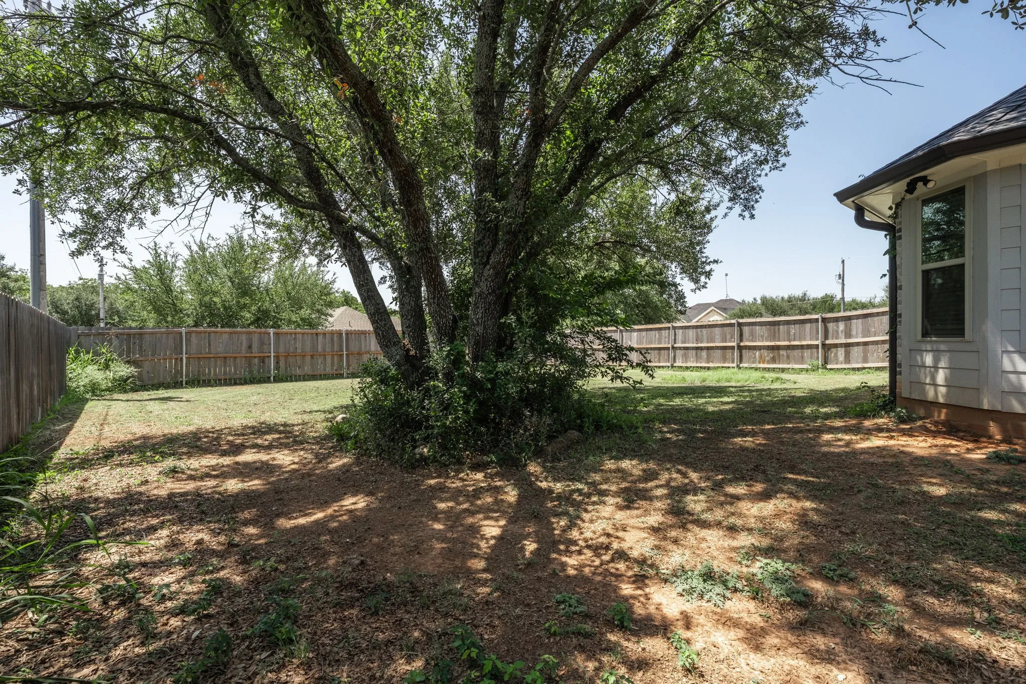 Shady private backyard