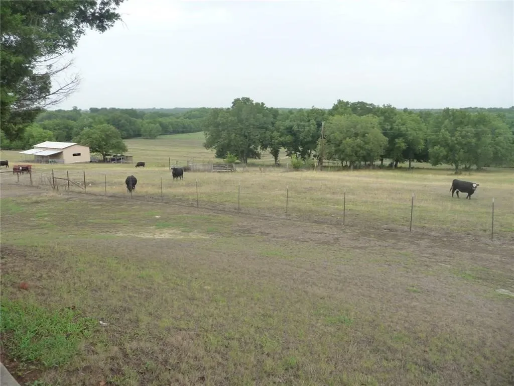 View behind the house