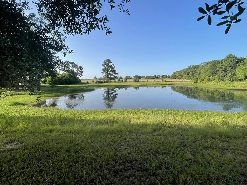 Single Family Residence For Sale in Henderson County , 7470 FM 317, Athens, Texas 75752, 3 Bedroom, 3 Bathroom, Garage spaces, 2,848 Sqft, built in 1967, mls#21340805, Real Estate Agent in Athens, Homes For Sale in Henderson county, Homes For Sale in Athens, Realtor in Athens Texas, Real Estate Brokerage Independent Realty Texas, Luminita Cordes Realtor