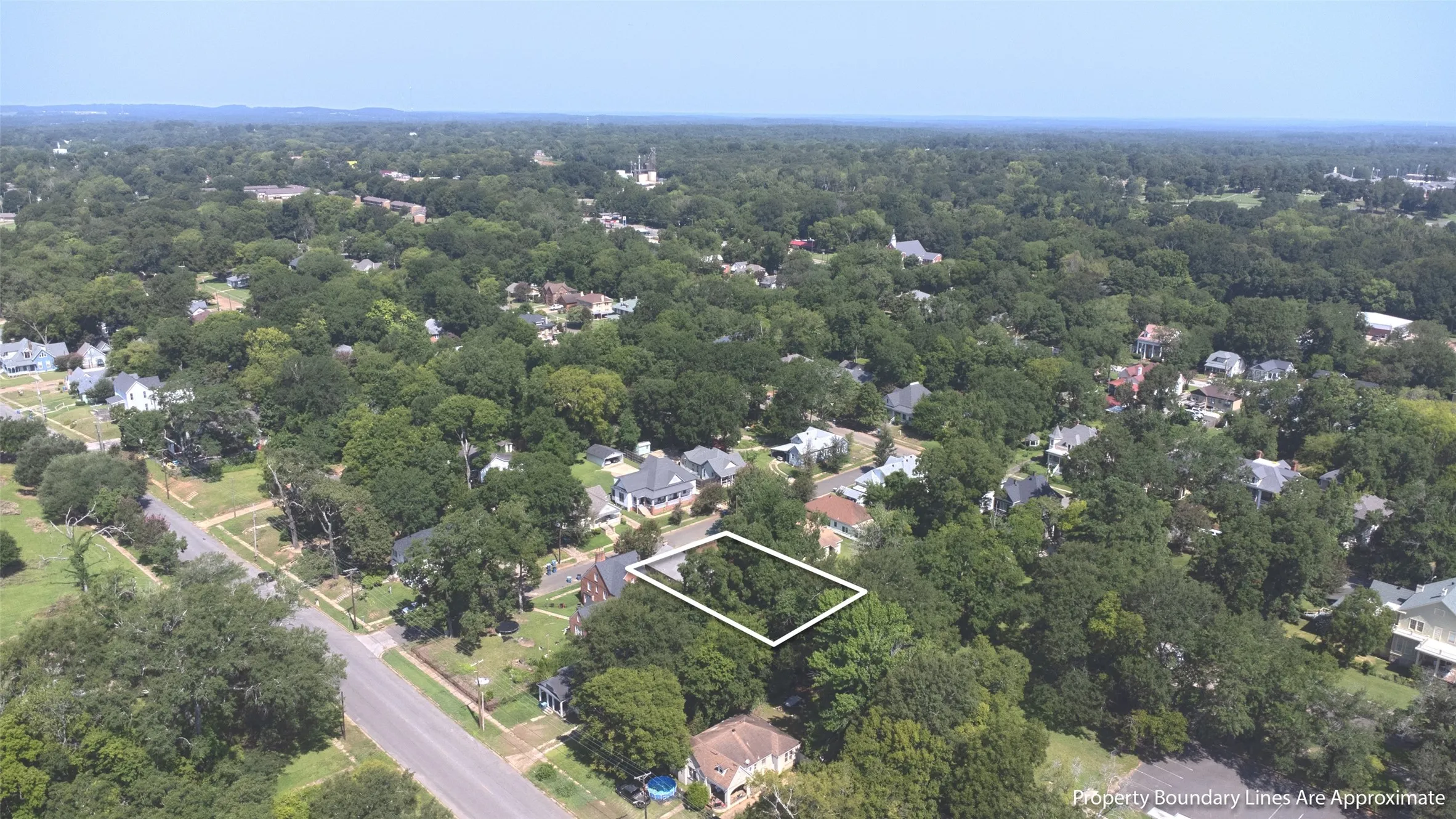 Vacant lot featuring dense mature trees