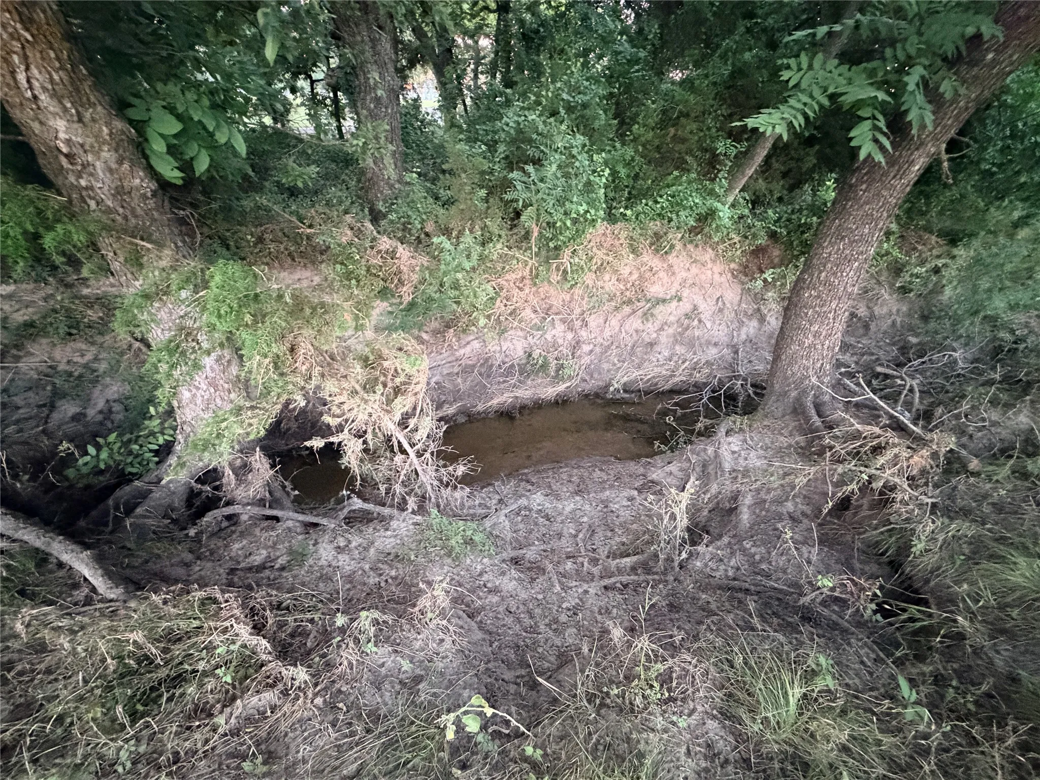 Ranch For Sale in Mills County , 82 State Highway 16 S, Goldthwaite, Texas 76844, 0, 0, Garage spaces, 0 Sqft, built in 0, mls#21340486, Real Estate Agent in Goldthwaite, Homes For Sale in Mills county, Homes For Sale in Goldthwaite, Realtor in Goldthwaite Texas, Real Estate Brokerage Independent Realty Texas, Luminita Cordes Realtor
