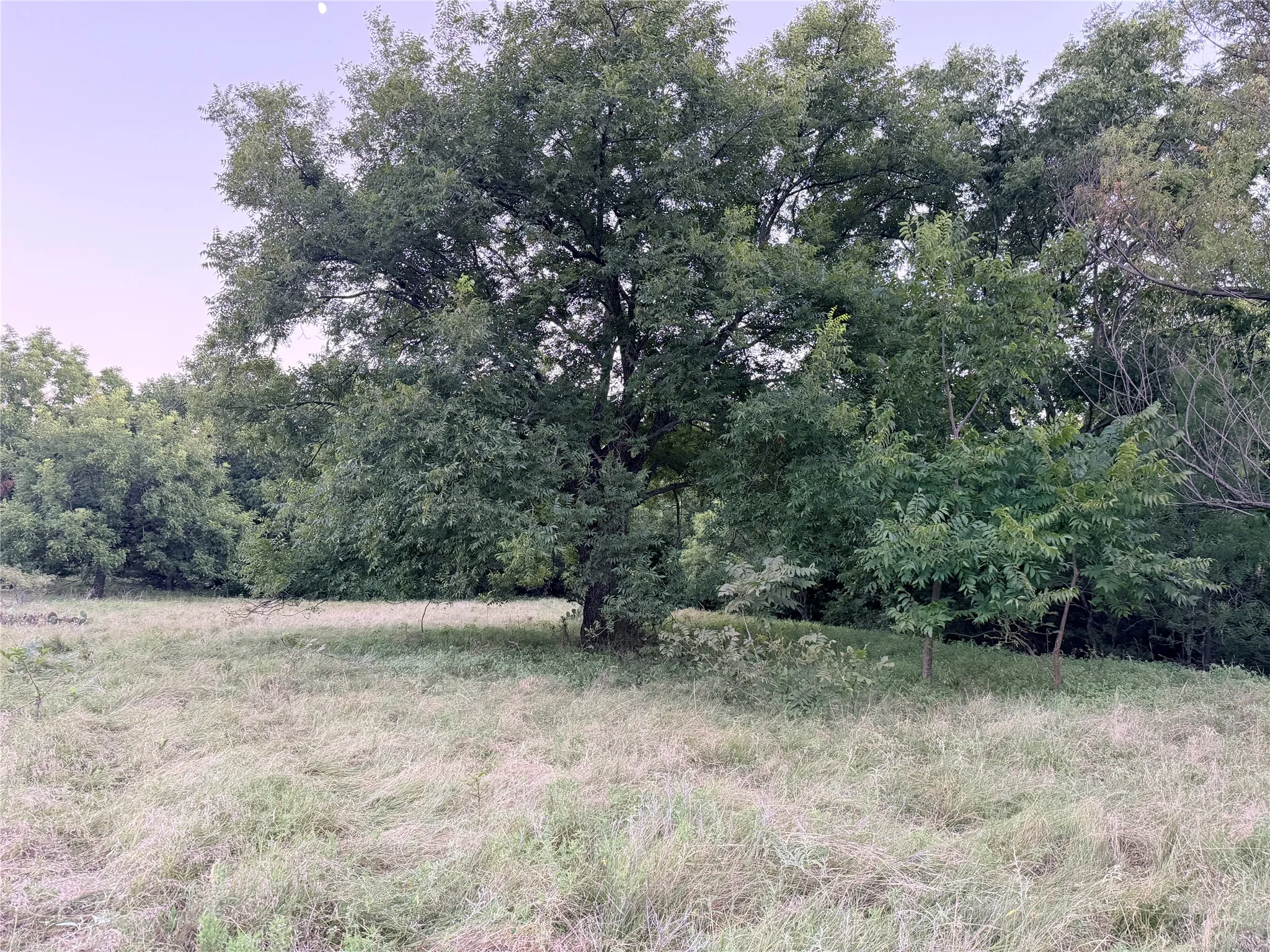 Ranch For Sale in Mills County , 82 State Highway 16 S, Goldthwaite, Texas 76844, 0, 0, Garage spaces, 0 Sqft, built in 0, mls#21340486, Real Estate Agent in Goldthwaite, Homes For Sale in Mills county, Homes For Sale in Goldthwaite, Realtor in Goldthwaite Texas, Real Estate Brokerage Independent Realty Texas, Luminita Cordes Realtor