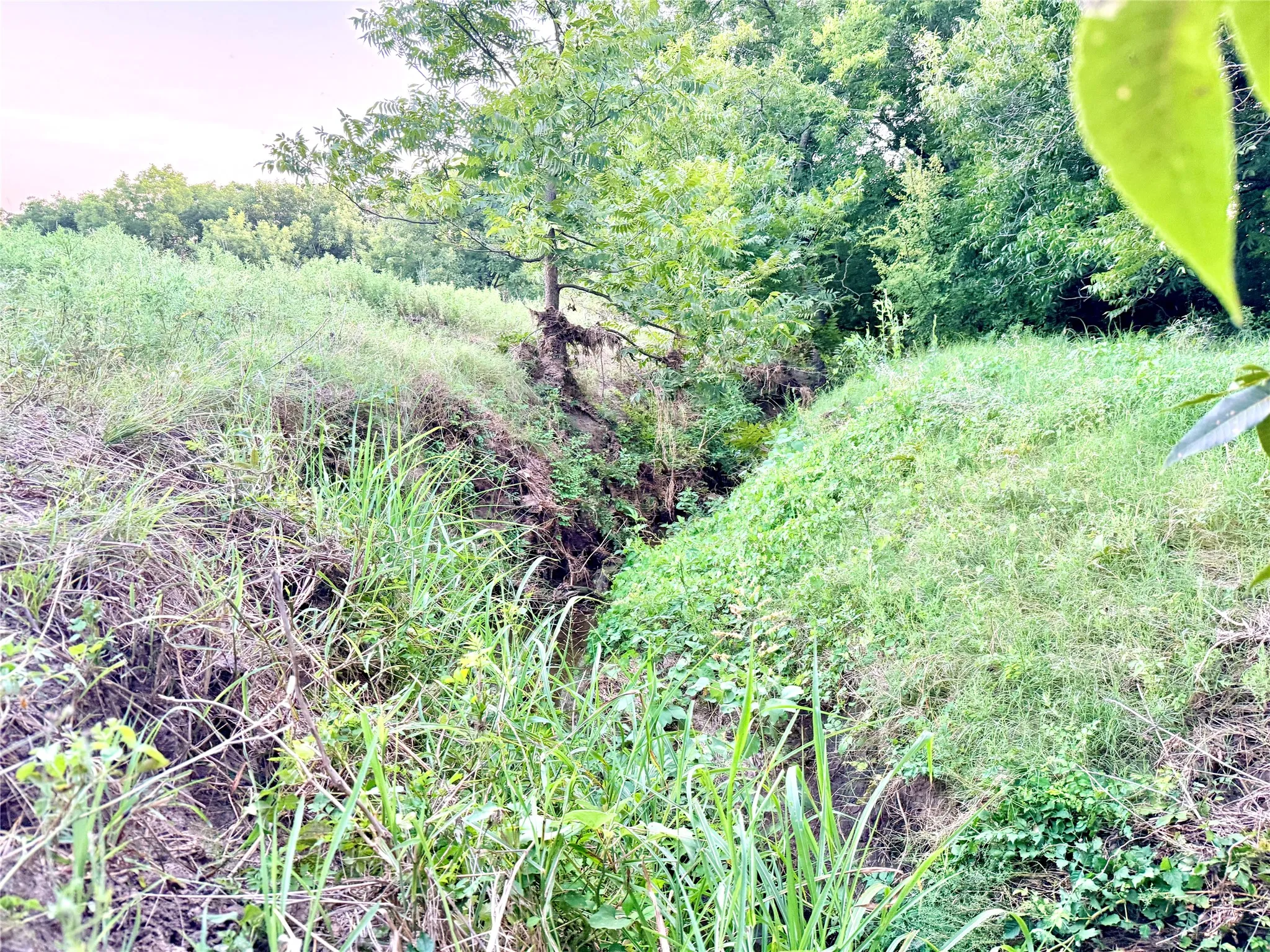 Ranch For Sale in Mills County , 82 State Highway 16 S, Goldthwaite, Texas 76844, 0, 0, Garage spaces, 0 Sqft, built in 0, mls#21340486, Real Estate Agent in Goldthwaite, Homes For Sale in Mills county, Homes For Sale in Goldthwaite, Realtor in Goldthwaite Texas, Real Estate Brokerage Independent Realty Texas, Luminita Cordes Realtor