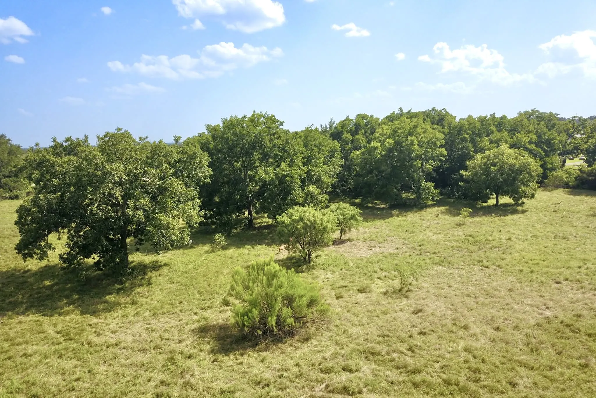 Ranch For Sale in Mills County , 82 State Highway 16 S, Goldthwaite, Texas 76844, 0, 0, Garage spaces, 0 Sqft, built in 0, mls#21340486, Real Estate Agent in Goldthwaite, Homes For Sale in Mills county, Homes For Sale in Goldthwaite, Realtor in Goldthwaite Texas, Real Estate Brokerage Independent Realty Texas, Luminita Cordes Realtor
