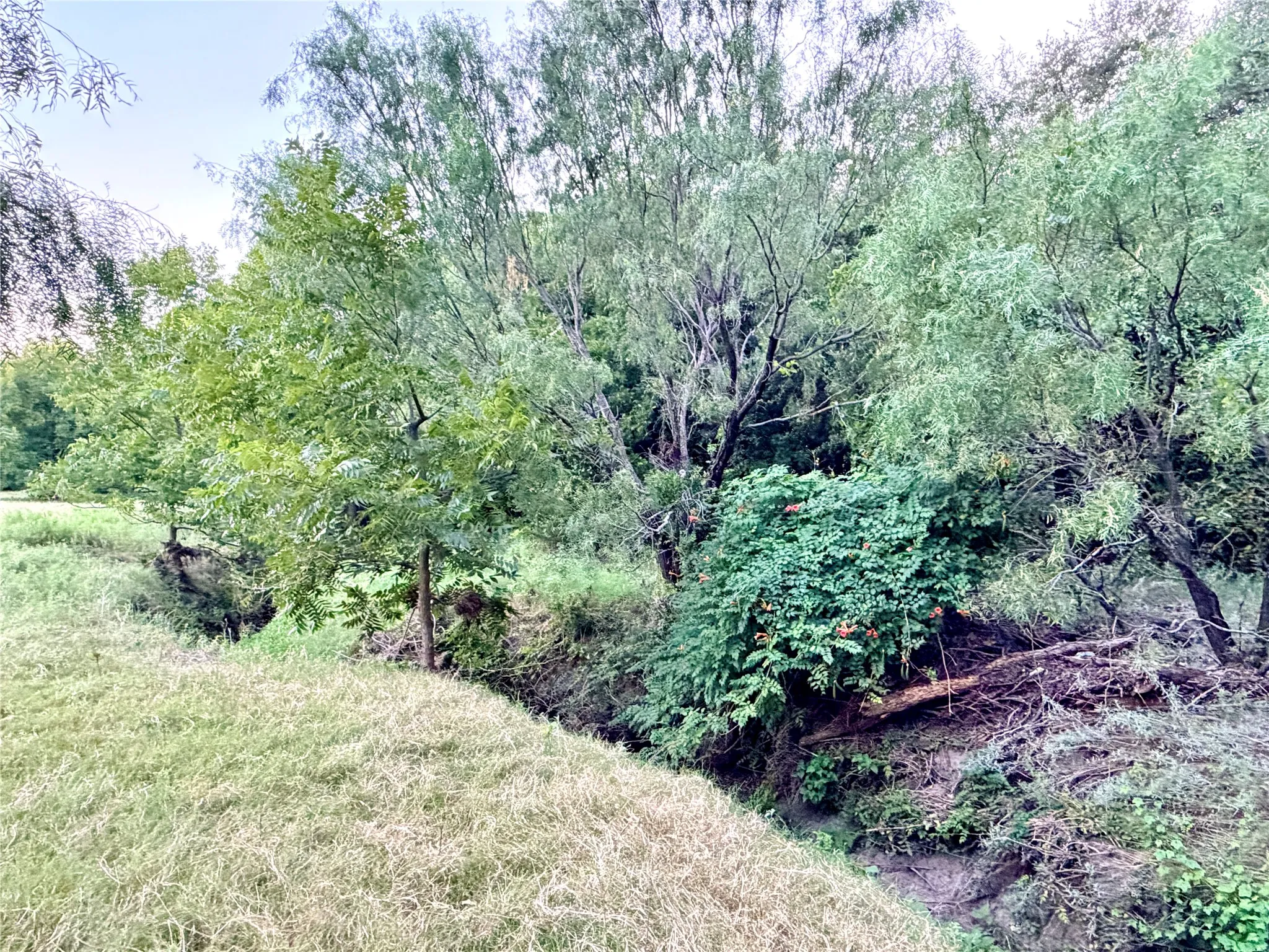 Ranch For Sale in Mills County , 82 State Highway 16 S, Goldthwaite, Texas 76844, 0, 0, Garage spaces, 0 Sqft, built in 0, mls#21340486, Real Estate Agent in Goldthwaite, Homes For Sale in Mills county, Homes For Sale in Goldthwaite, Realtor in Goldthwaite Texas, Real Estate Brokerage Independent Realty Texas, Luminita Cordes Realtor