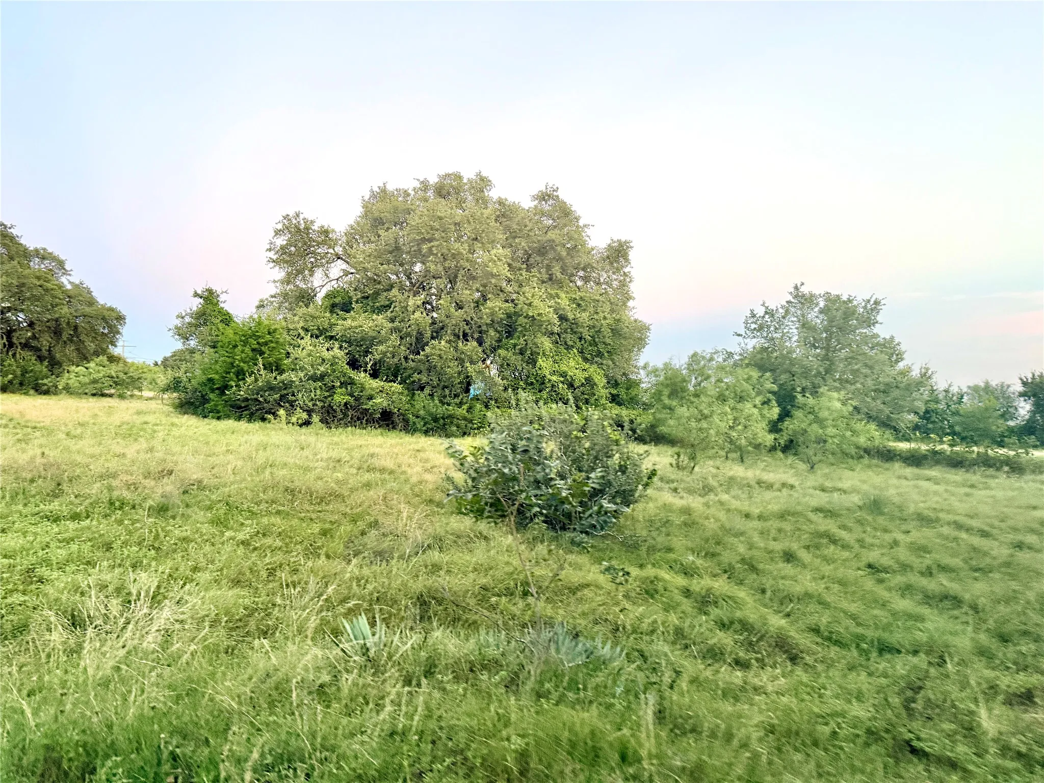 Ranch For Sale in Mills County , 82 State Highway 16 S, Goldthwaite, Texas 76844, 0, 0, Garage spaces, 0 Sqft, built in 0, mls#21340486, Real Estate Agent in Goldthwaite, Homes For Sale in Mills county, Homes For Sale in Goldthwaite, Realtor in Goldthwaite Texas, Real Estate Brokerage Independent Realty Texas, Luminita Cordes Realtor